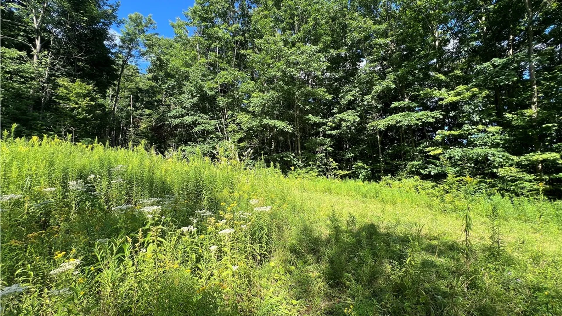 Property at Old Seventy Six Road, Caroline, NY 14817 6