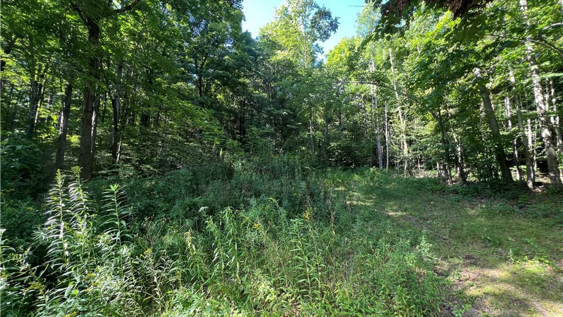 Property at Old Seventy Six Road, Caroline, NY 14817 8