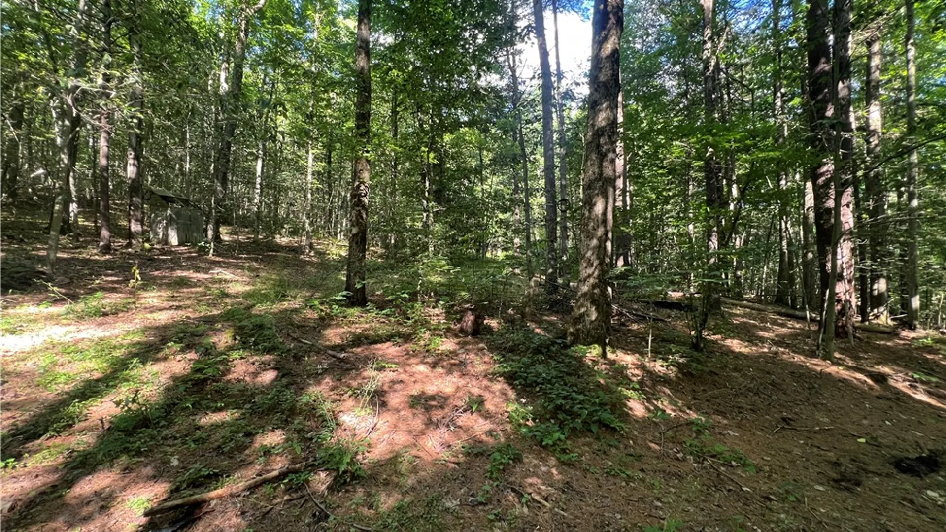 Property at Old Seventy Six Road, Caroline, NY 14817 12