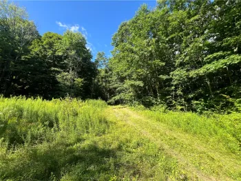 Property at Old Seventy Six Road, Caroline, NY 14817