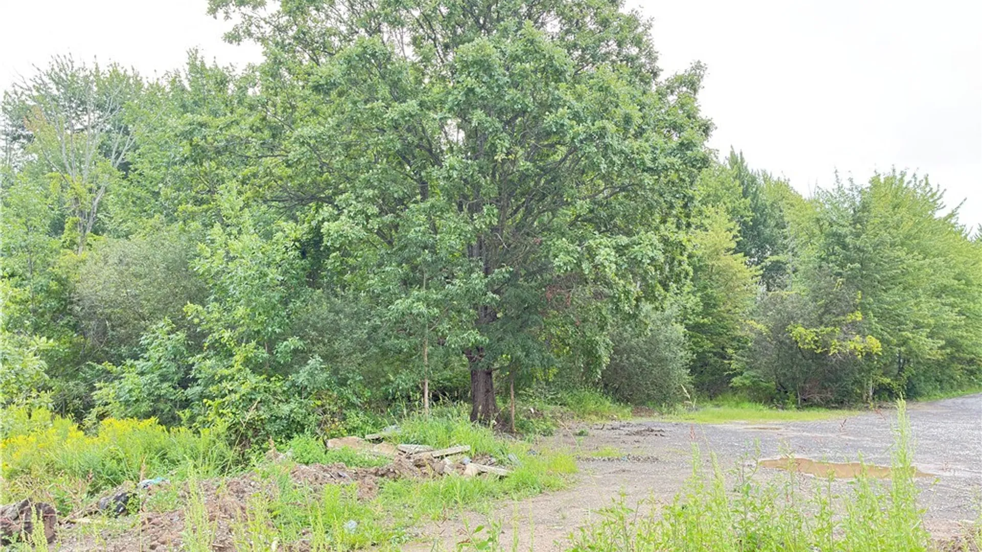 Property at Fisk Road, Pendleton, NY 14094 4