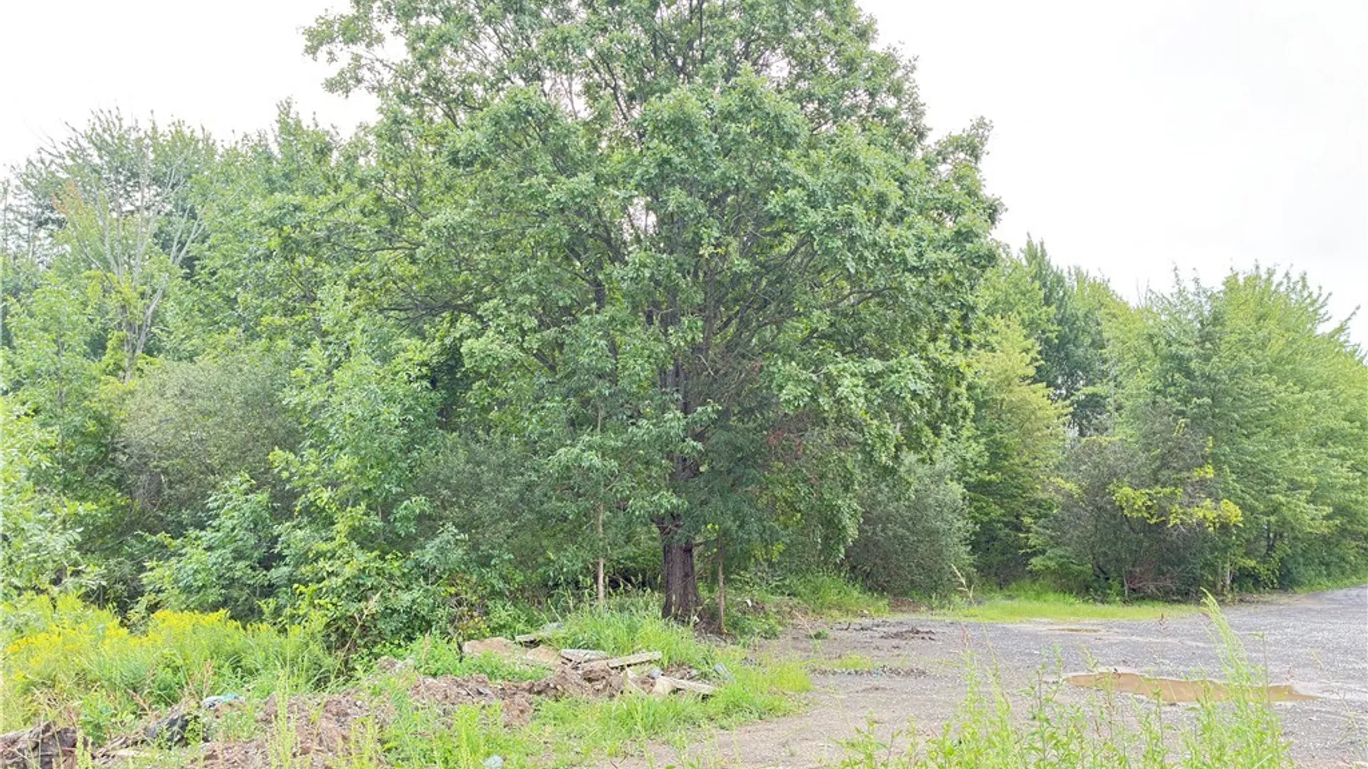 Property at Fisk Road, Pendleton, NY 14094 5