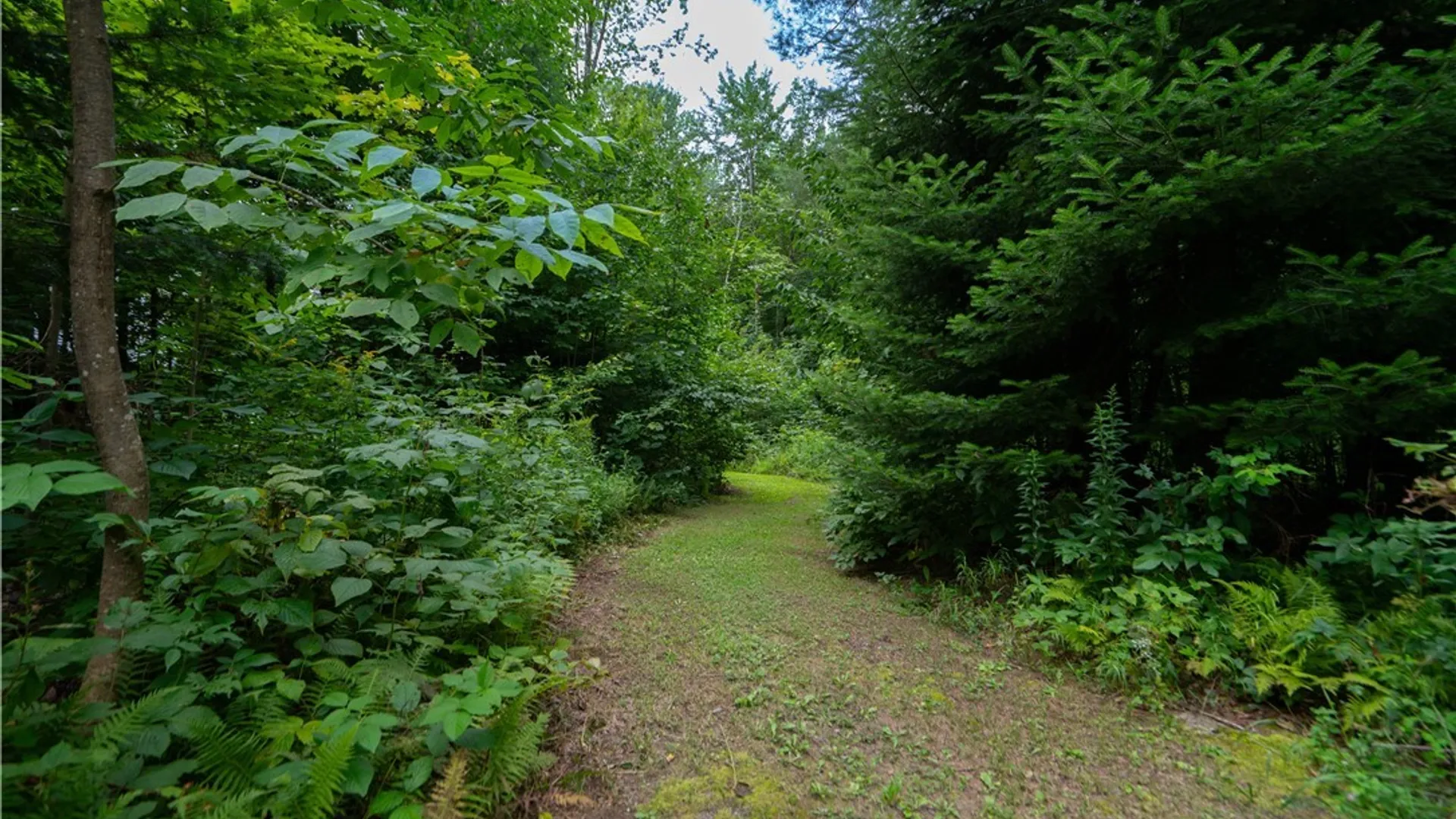 Property at 149 Tucker Road, Salisbury, NY 13365 30