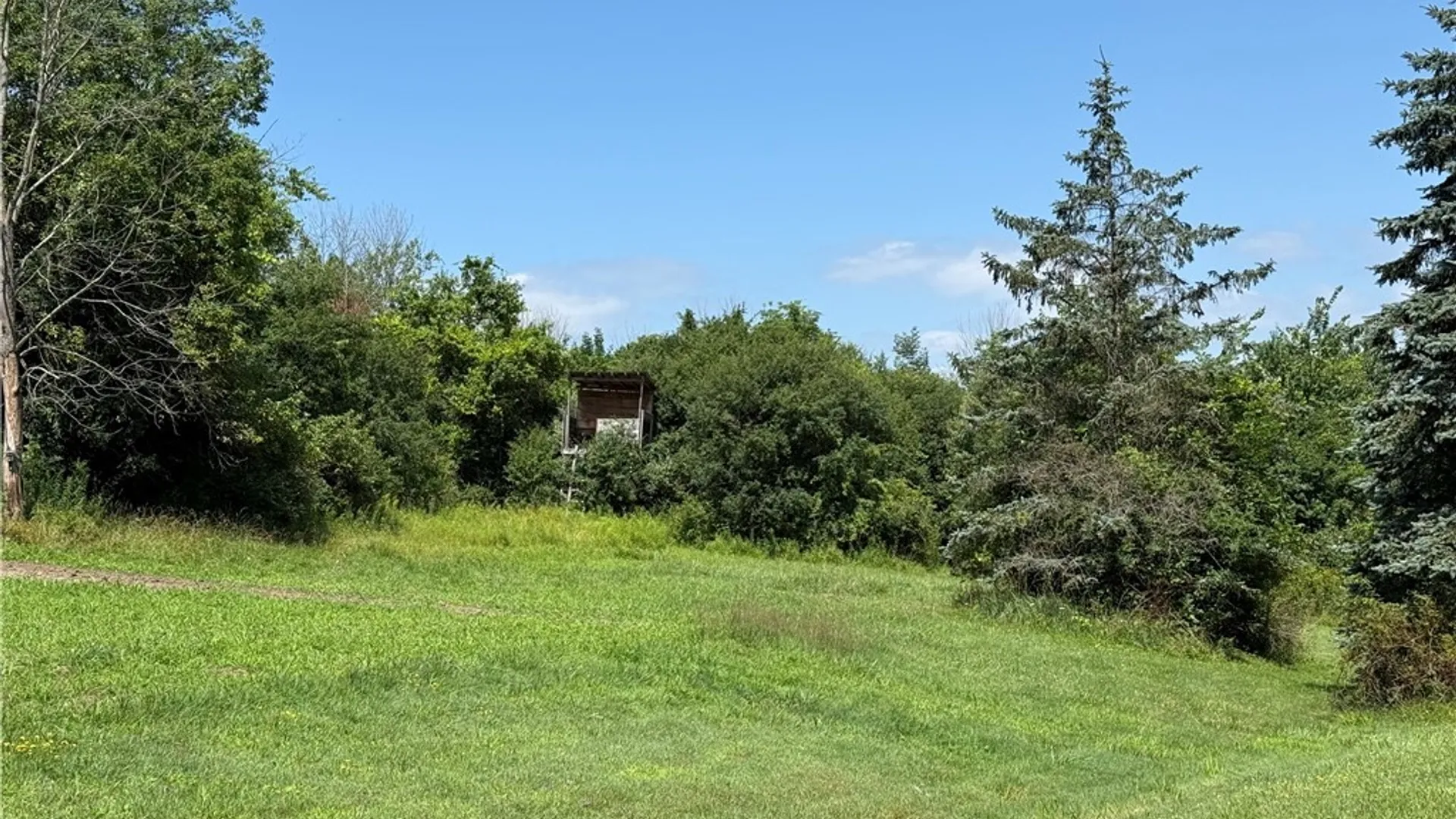 Property at 4565 Back River Road, Amity, NY 14813 9