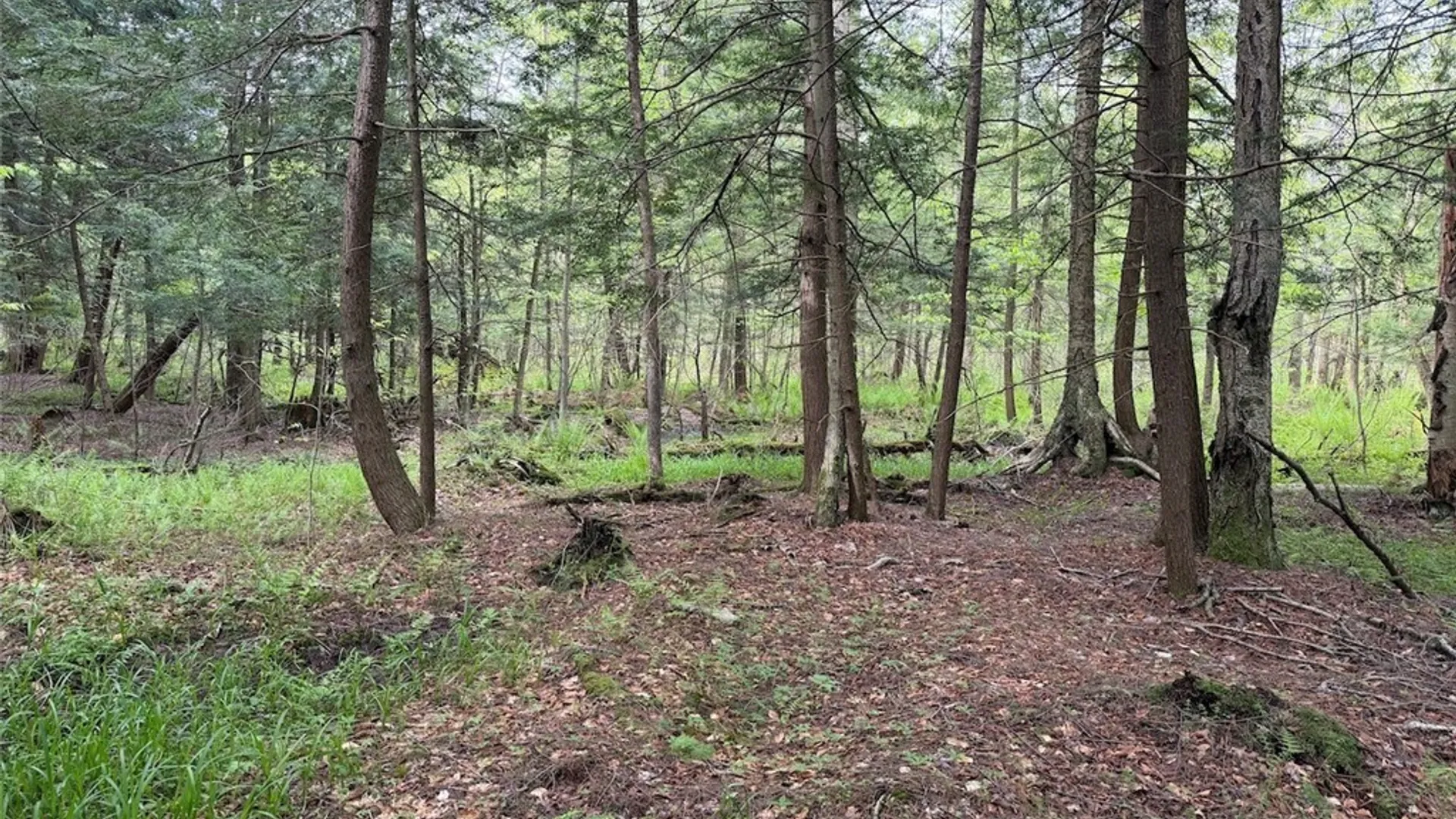 Property at Kellogg Hill Road, Leon, NY 14138 12