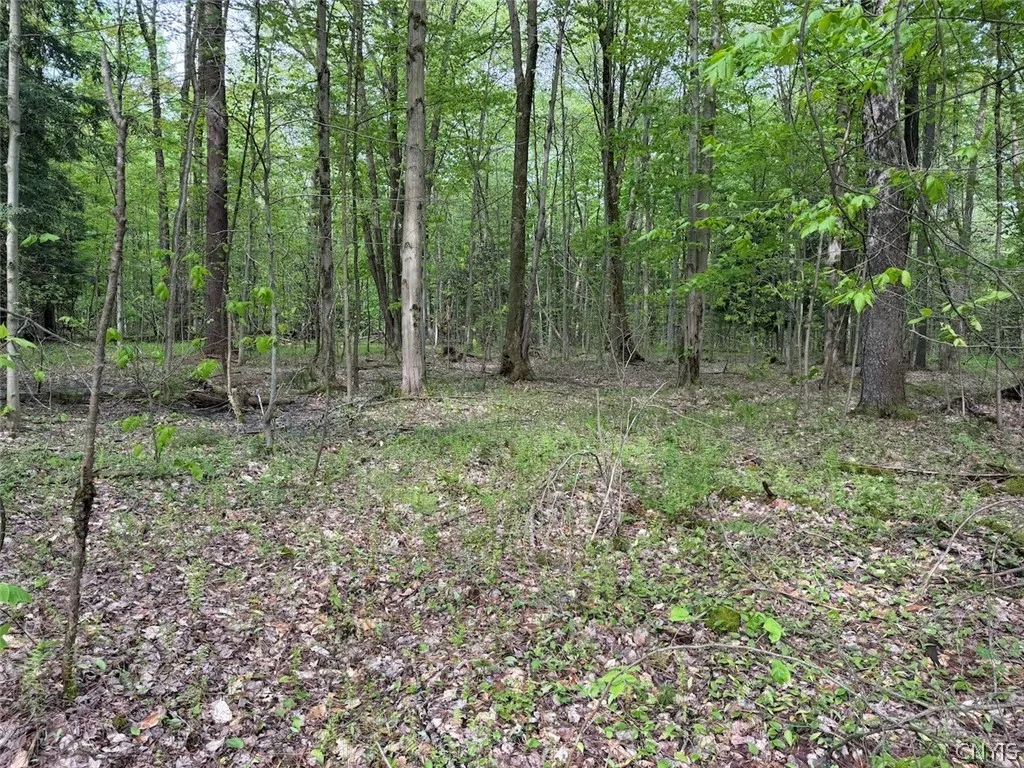 Property at Kellogg Hill Road, Leon, NY 14138