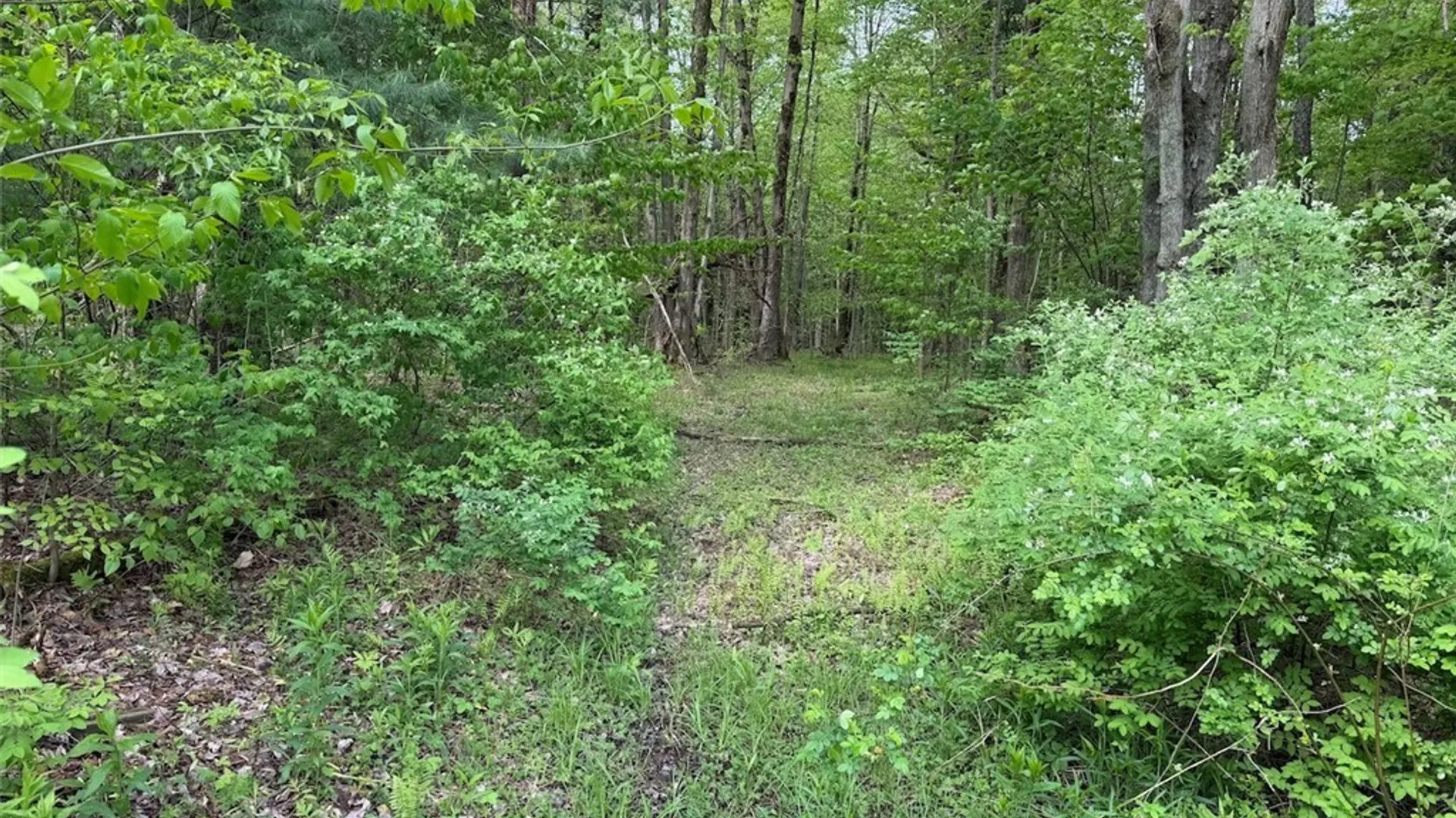 Property at Kellogg Hill Road, Leon, NY 14138 6