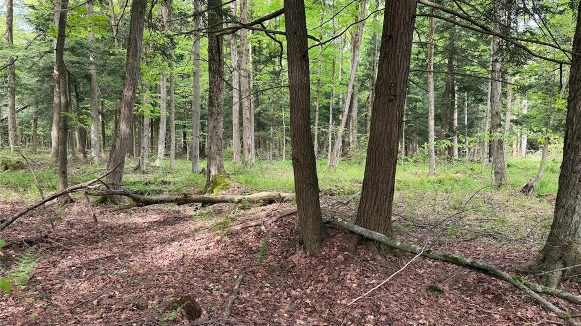 Property at Kellogg Hill Road, Leon, NY 14138 8