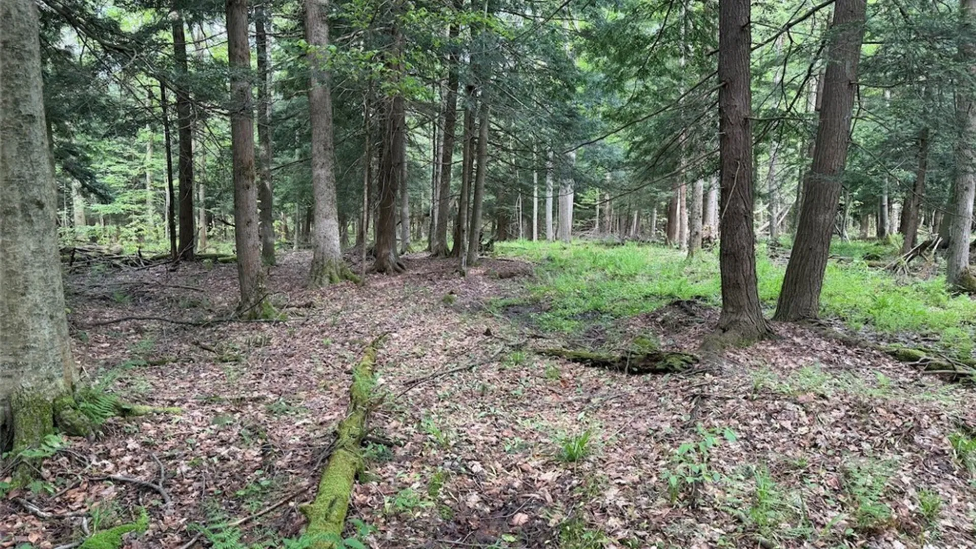 Property at Kellogg Hill Road, Leon, NY 14138 10
