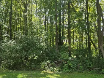 Property at Adams Avenue, Evans, NY 14006