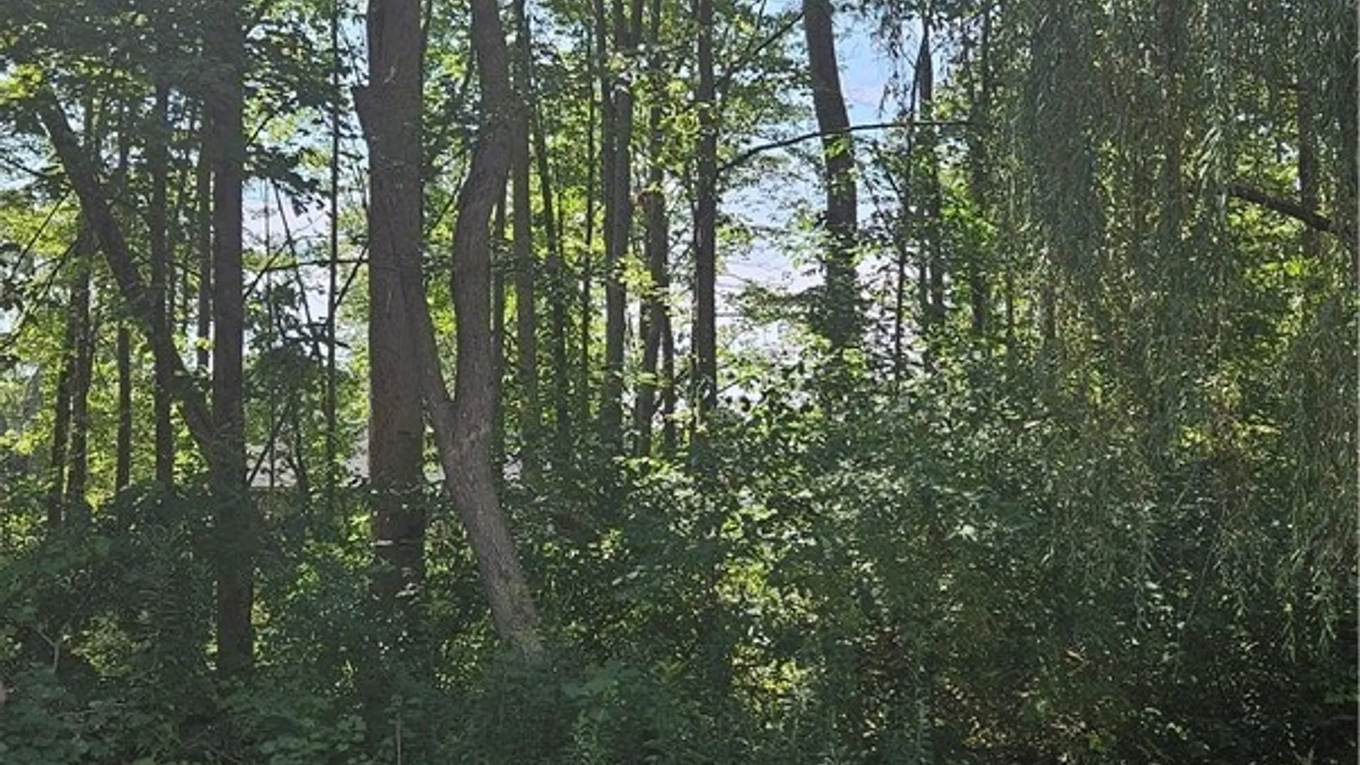 Property at Adams Avenue, Evans, NY 14006 3