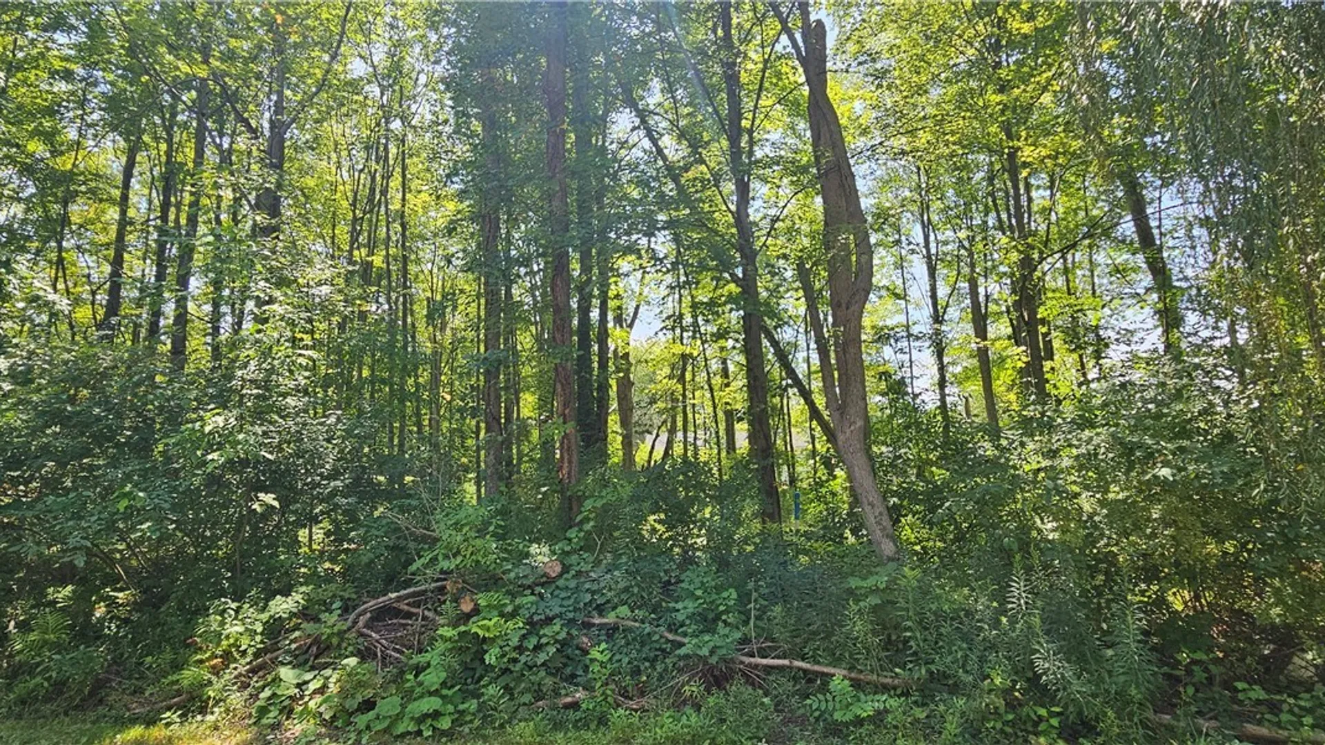 Property at Adams Avenue, Evans, NY 14006 4