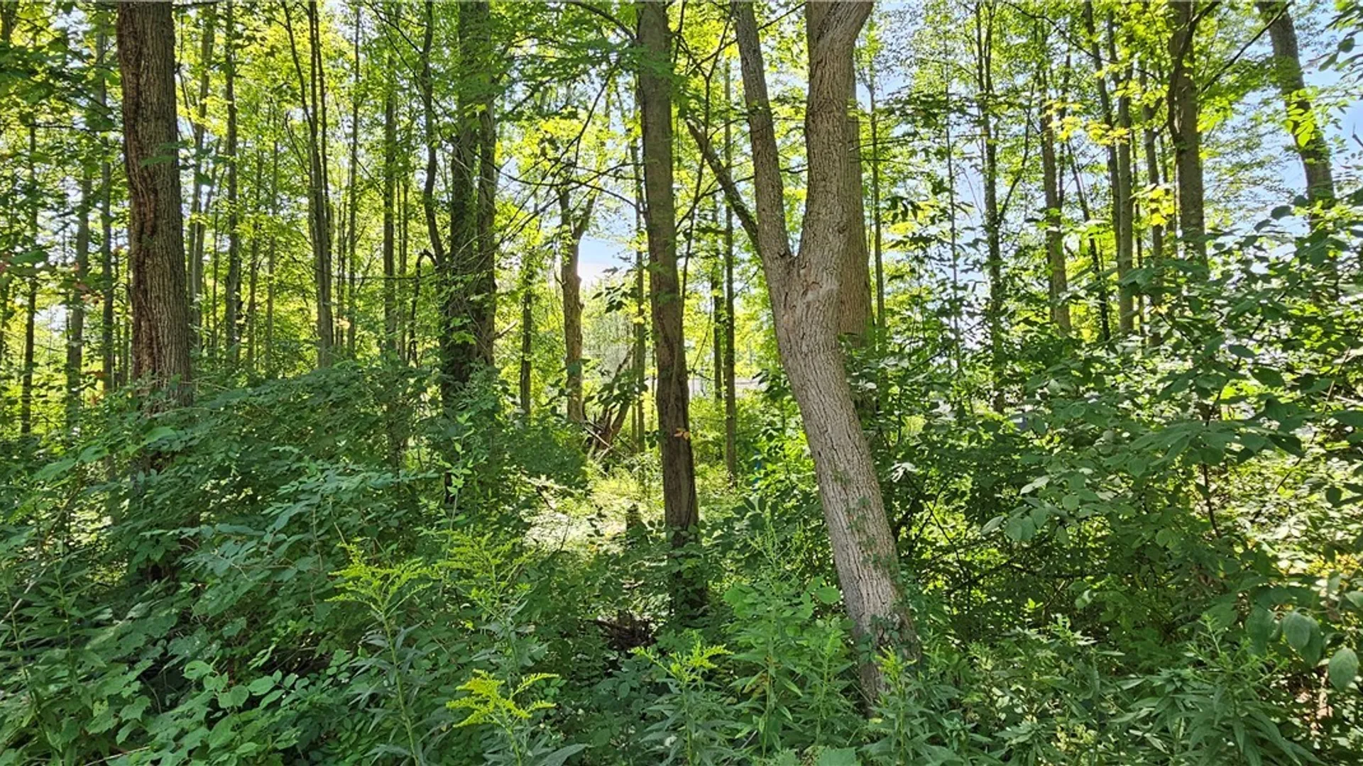 Property at Adams Avenue, Evans, NY 14006 5