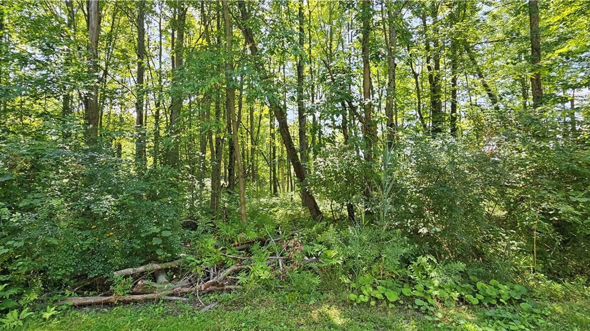 Property at Adams Avenue, Evans, NY 14006 6