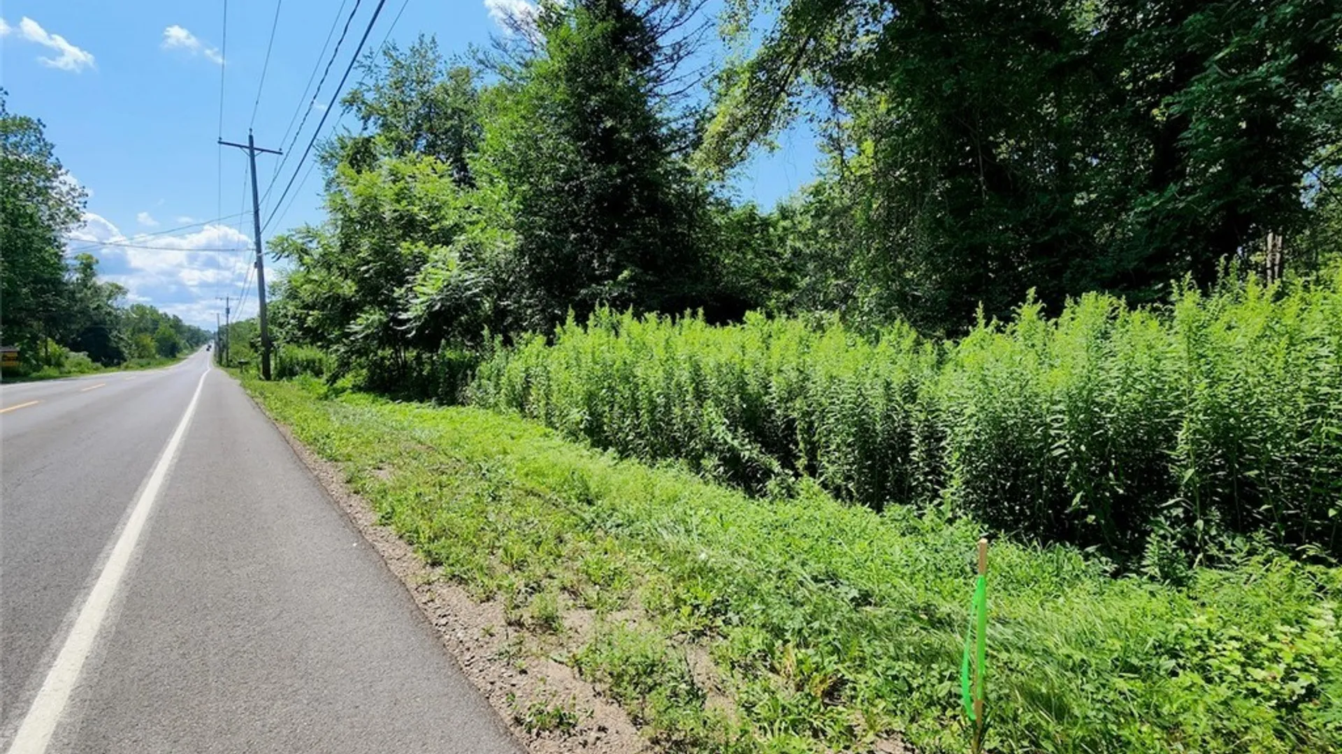Property at Cr-6, Volney, NY 13069 5