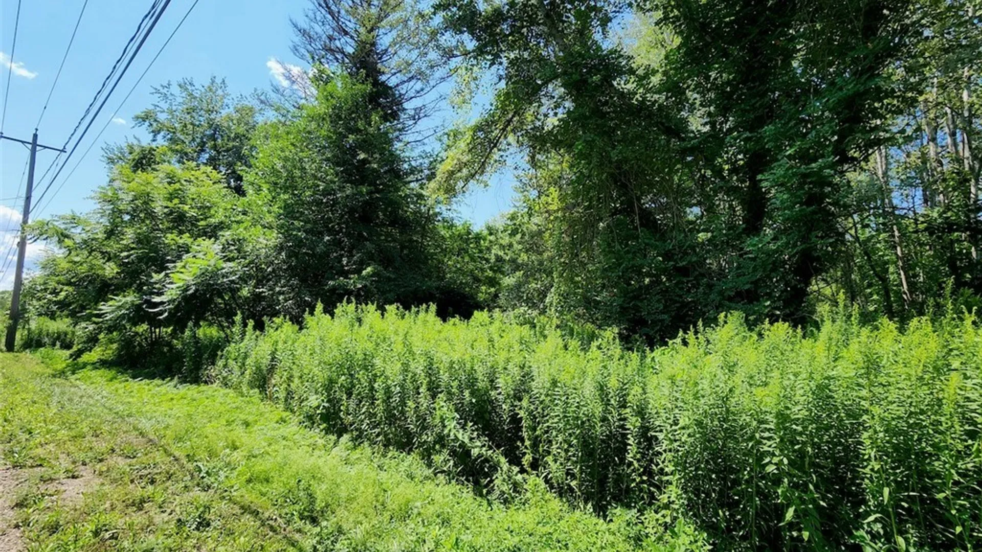 Property at Cr-6, Volney, NY 13069 6