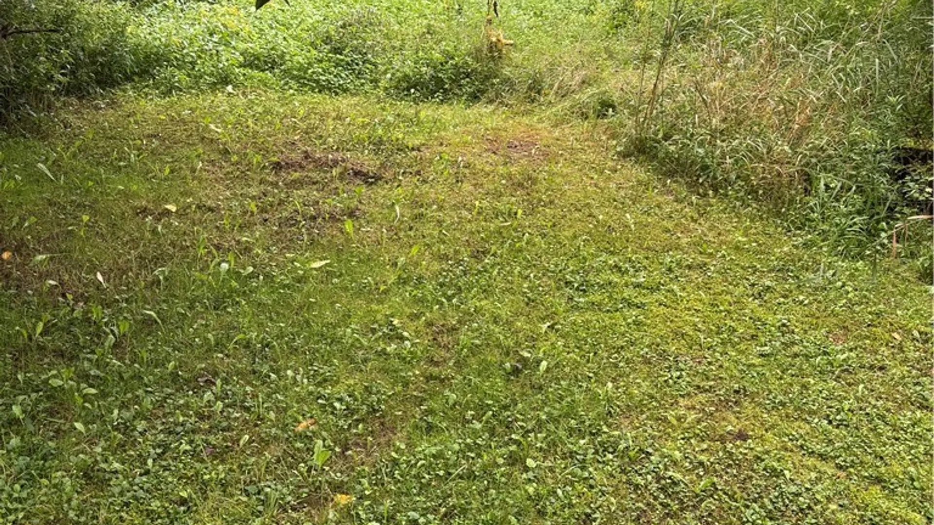 Property at Back River Road, Amity, NY 14813 8