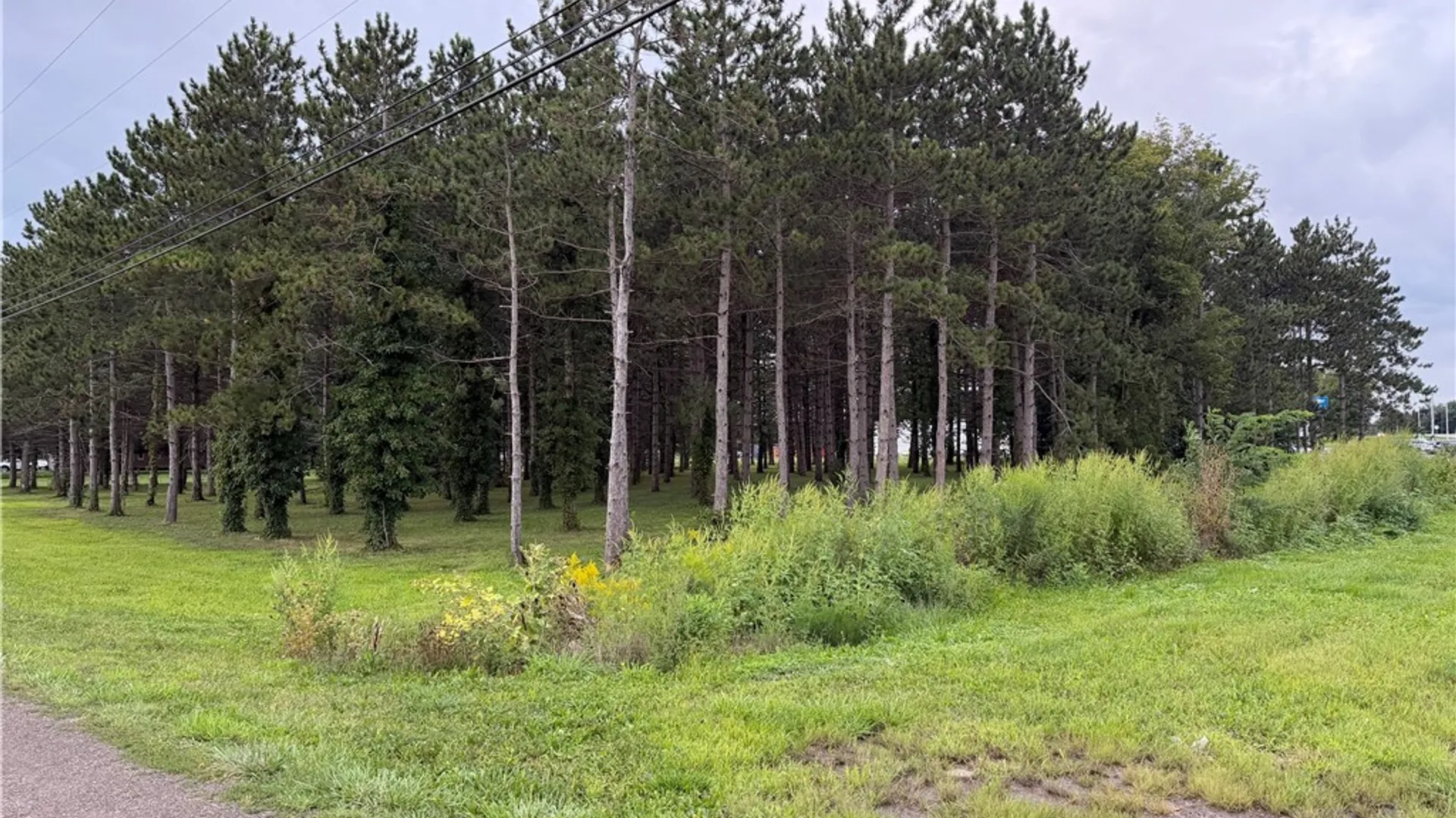 Property at Mile Strip Road, North Collins, NY 14111 8