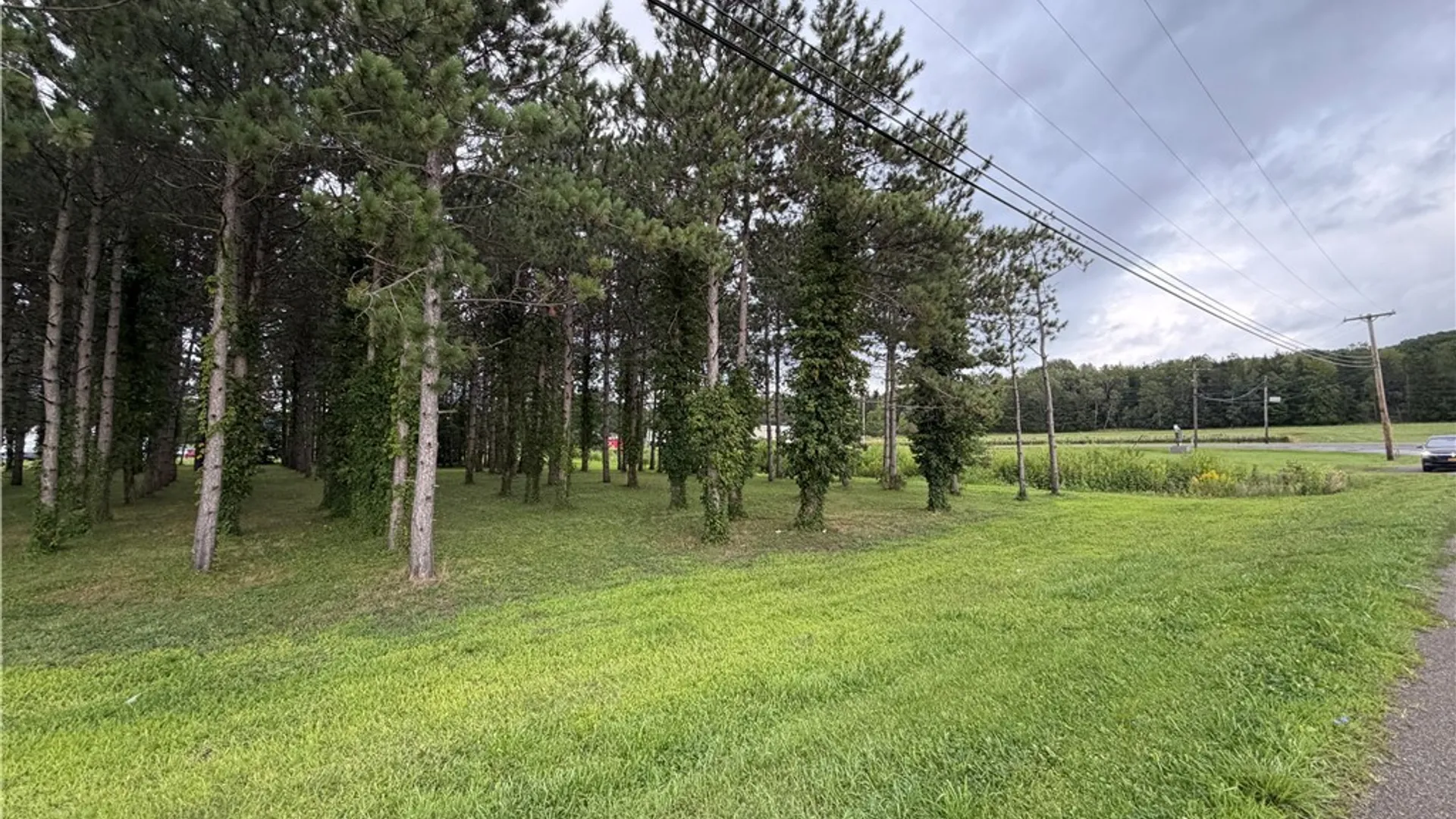 Property at Mile Strip Road, North Collins, NY 14111 10