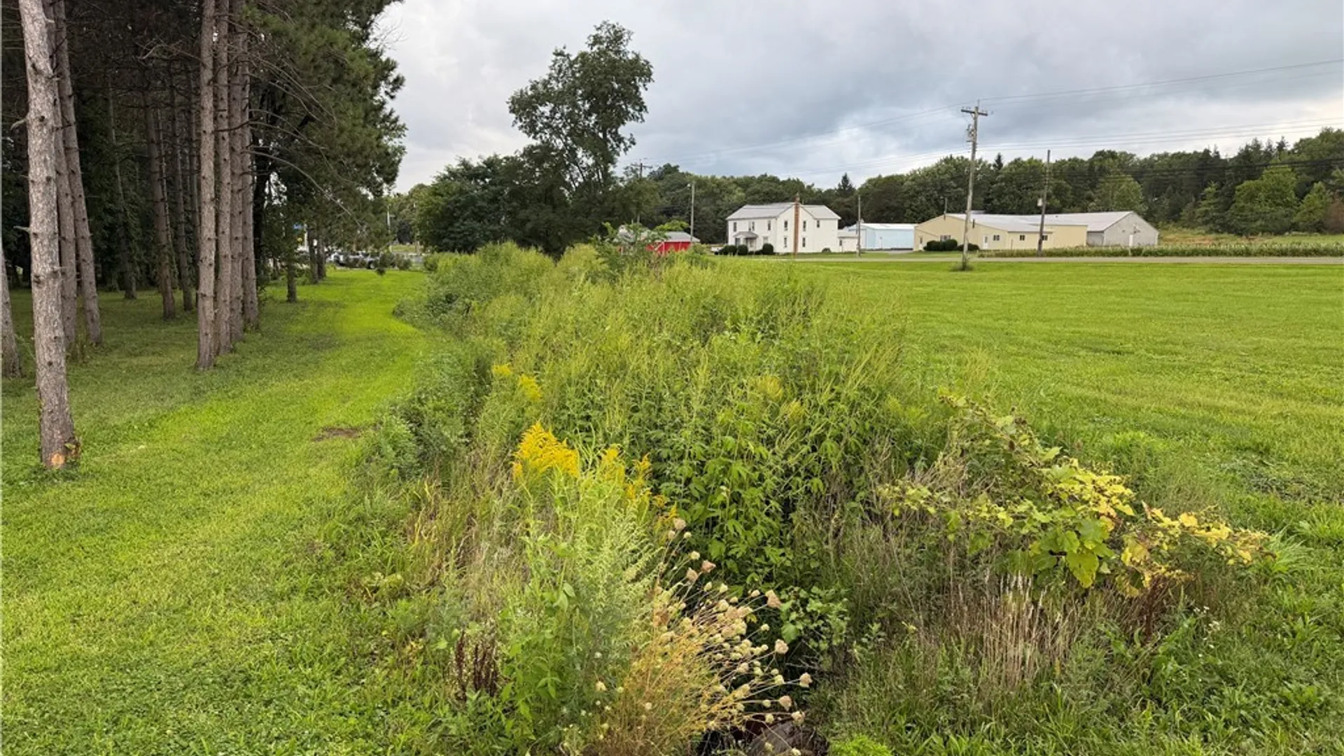 Property at Mile Strip Road, North Collins, NY 14111 11
