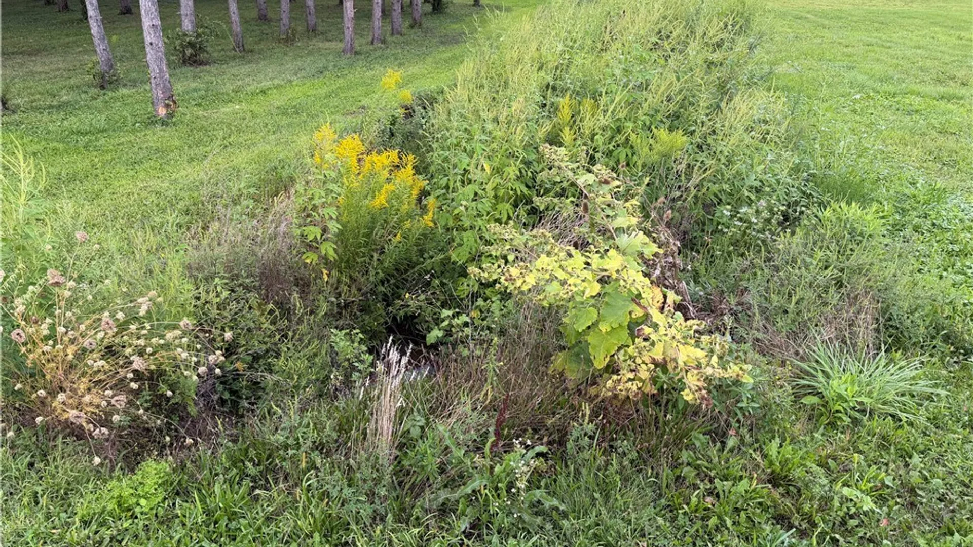 Property at Mile Strip Road, North Collins, NY 14111 12