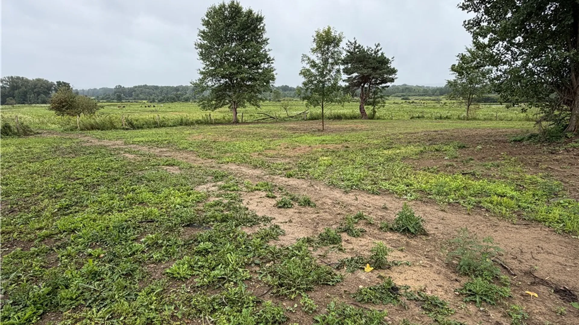 Property at 4845 Nys Rte 241, Conowingo, NY 14726 7
