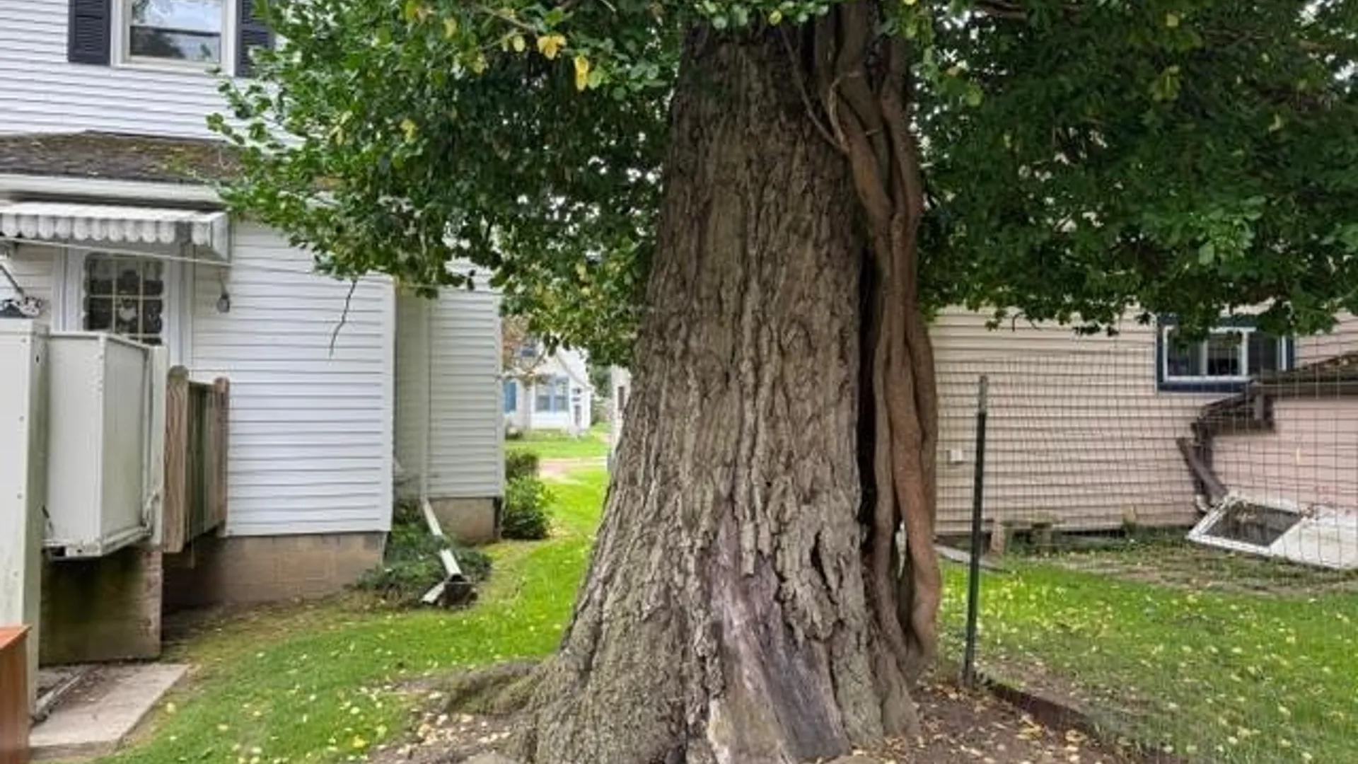Property at 118 S 18th Street, Olean, NY 14760 7