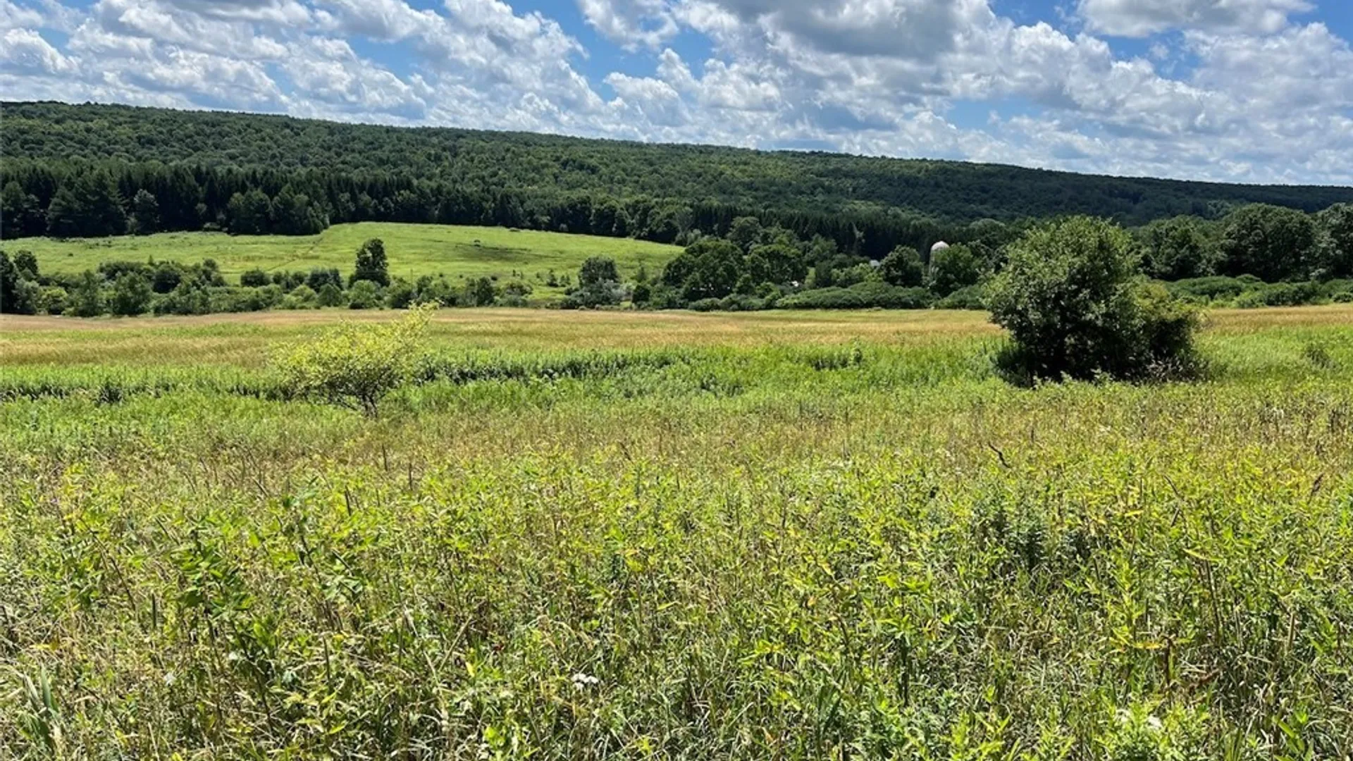 Property at Bates Road, Ellington, NY 14782 3