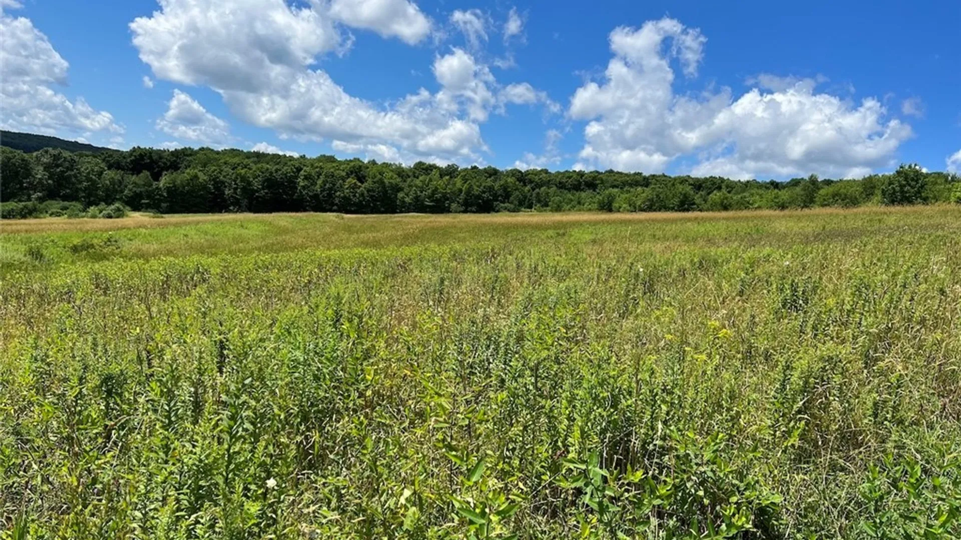 Property at Bates Road, Ellington, NY 14782 4