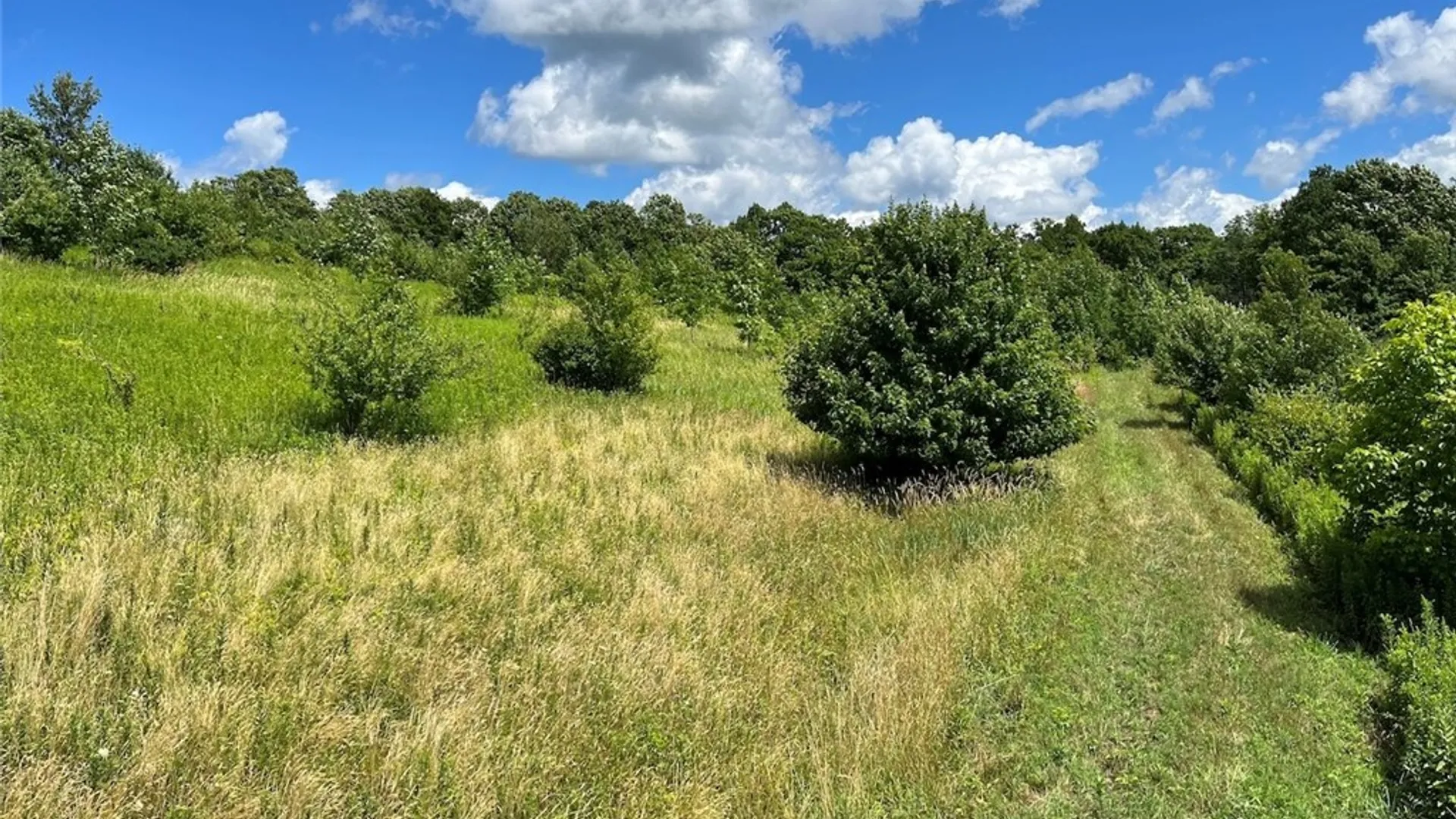 Property at Bates Road, Ellington, NY 14782 8