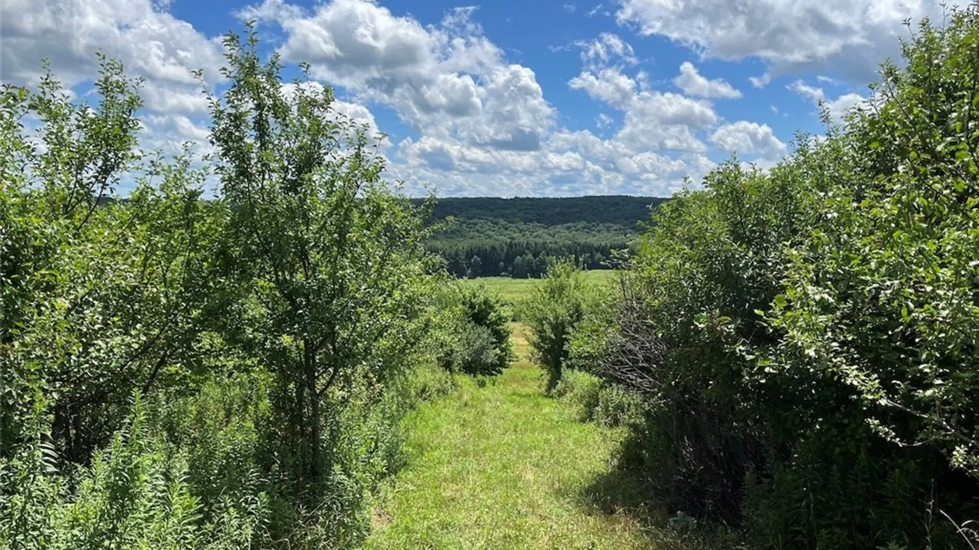 Property at Bates Road, Ellington, NY 14782 9