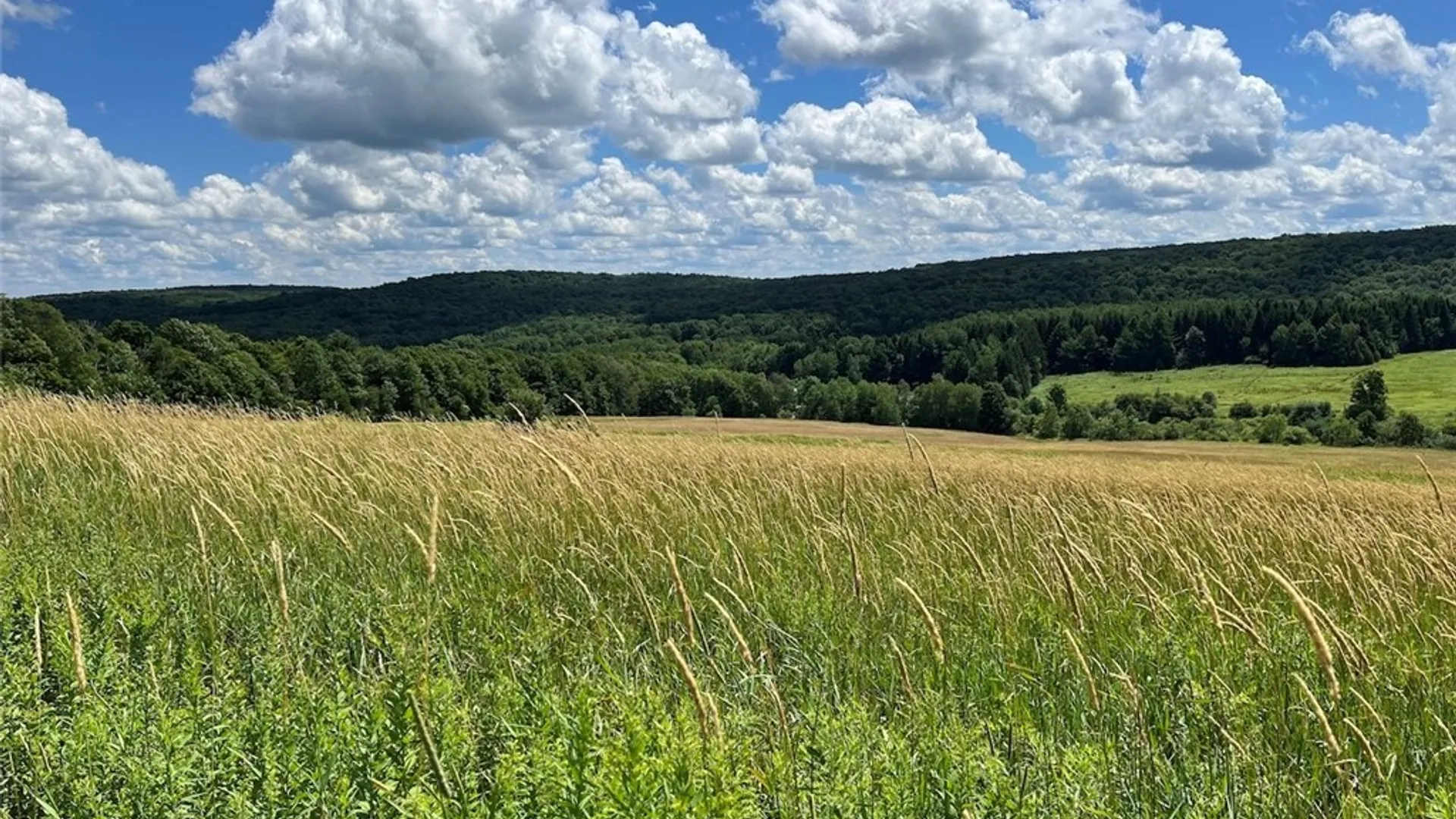 Property at Bates Road, Ellington, NY 14782 10