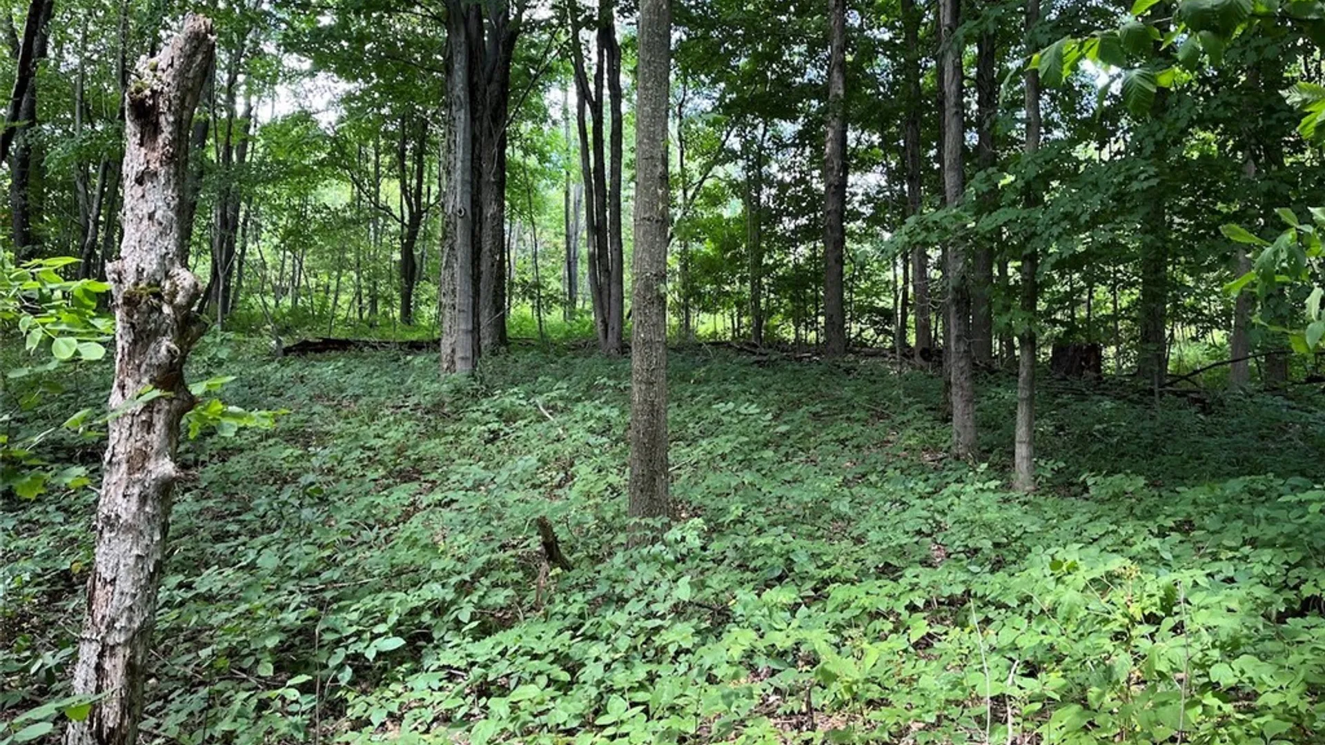 Property at Bates Road, Ellington, NY 14782 12
