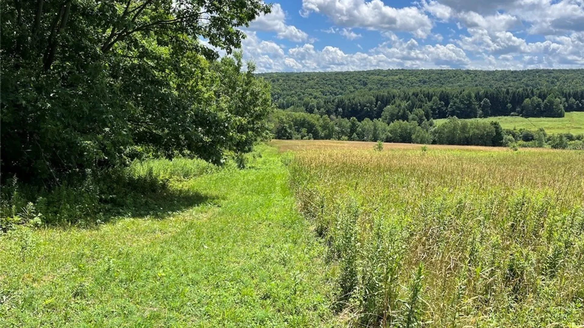 Property at Bates Road, Ellington, NY 14782 15