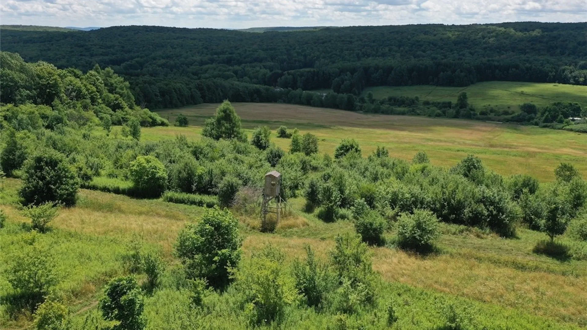 Property at Bates Road, Ellington, NY 14782 16