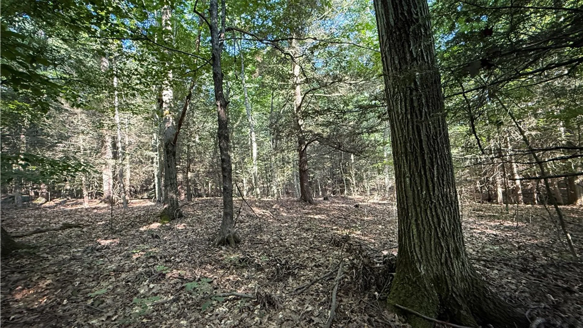 Property at Wright Road, Candor, NY 13743 3