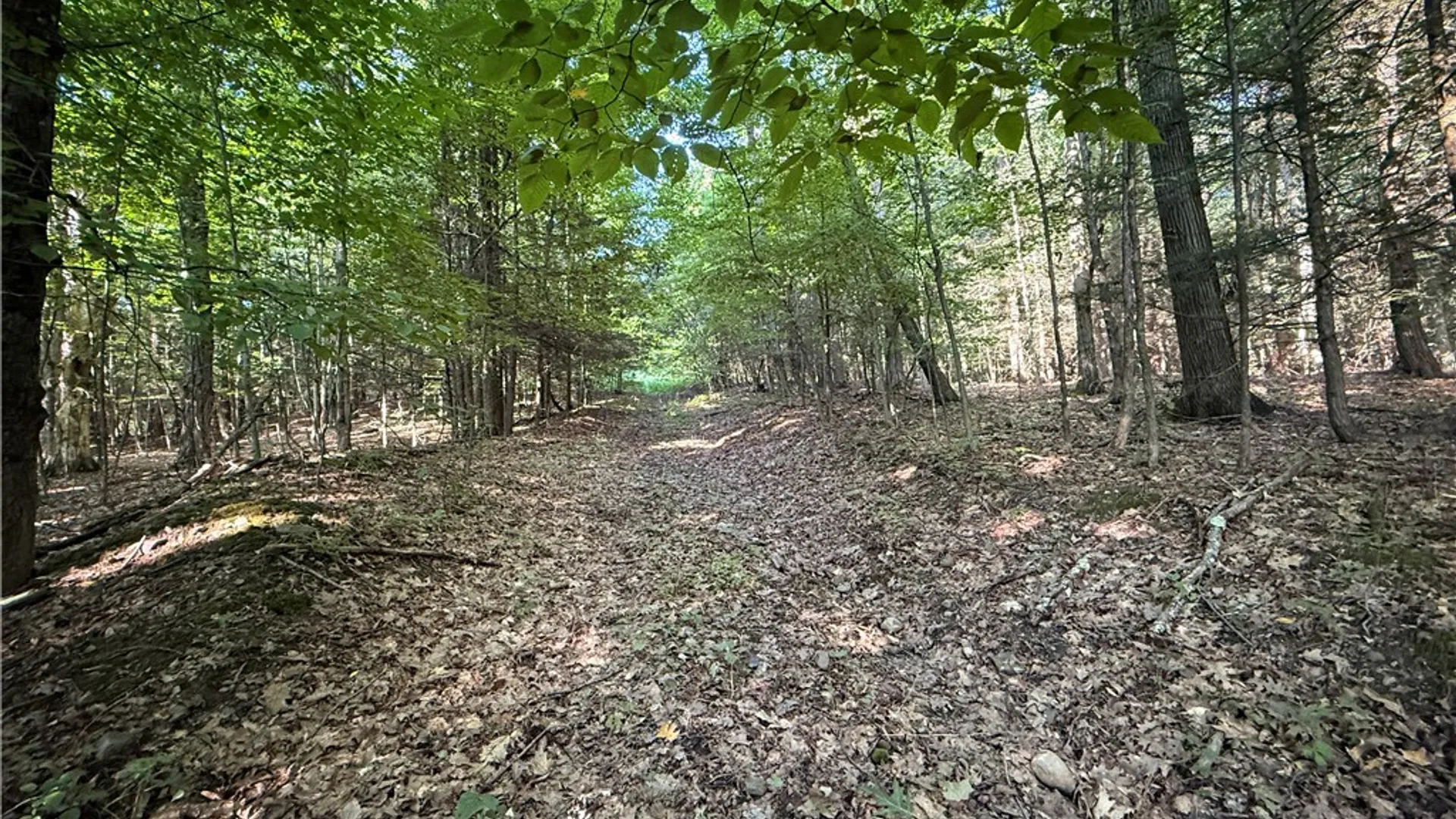 Property at Wright Road, Candor, NY 13743 4