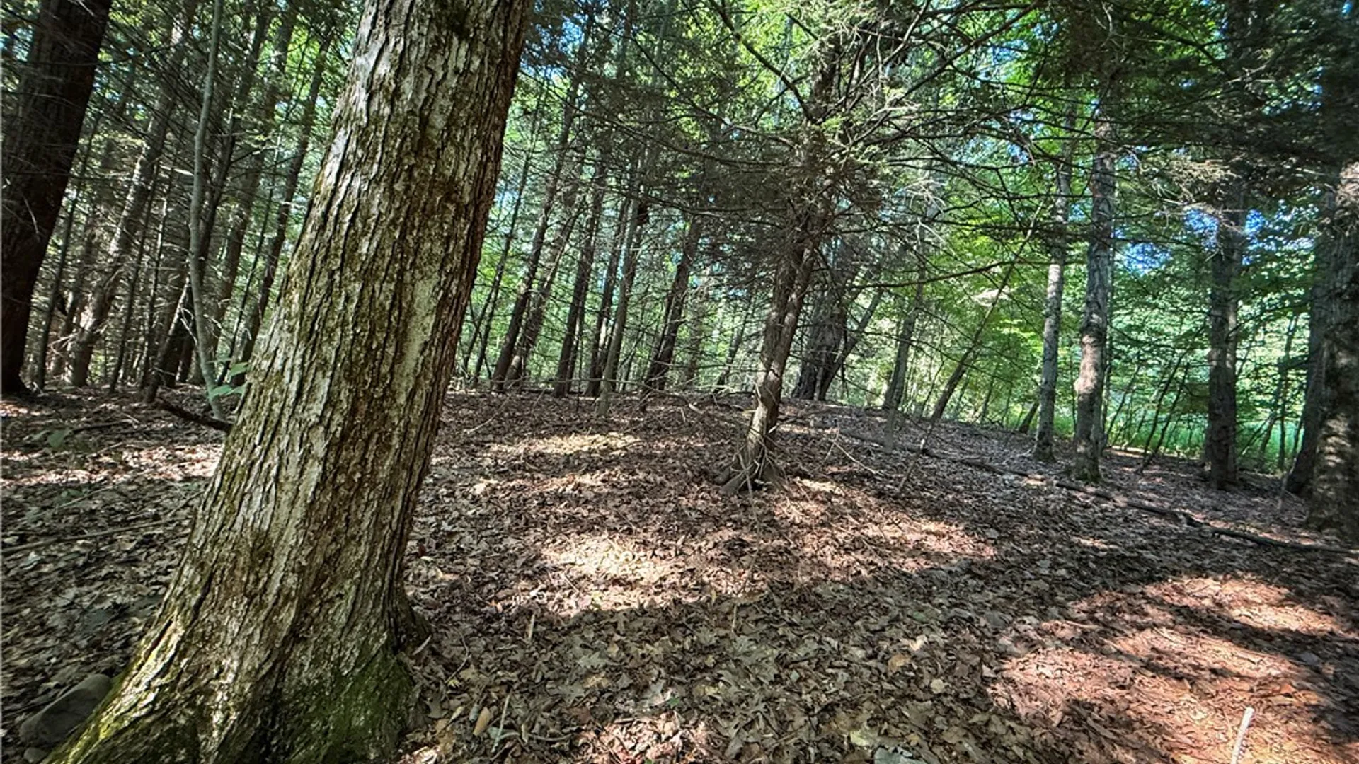 Property at Wright Road, Candor, NY 13743 8