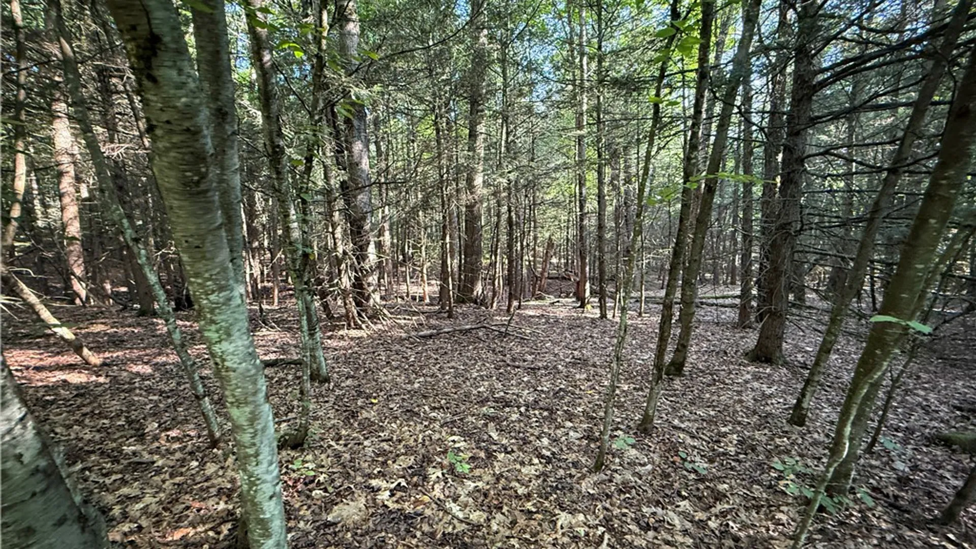 Property at Wright Road, Candor, NY 13743 10