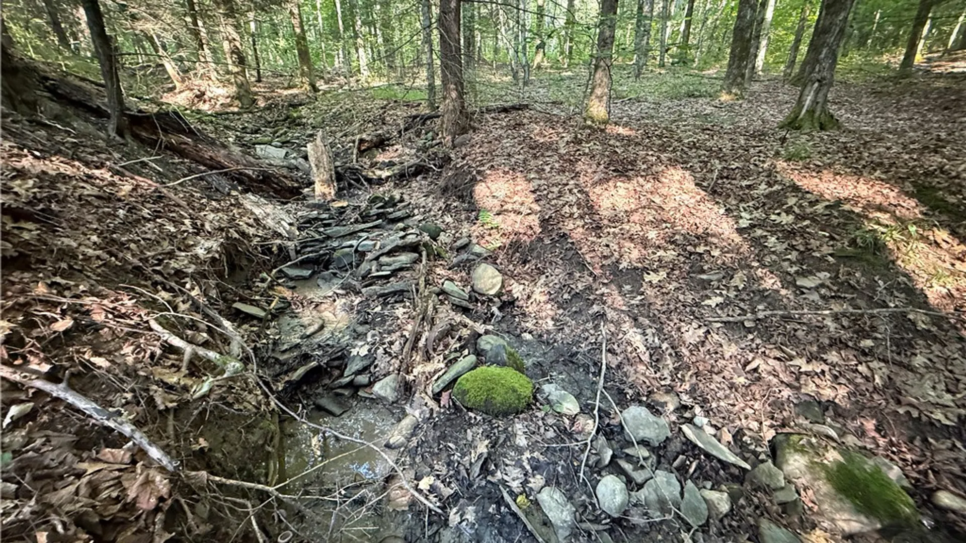 Property at Wright Road, Candor, NY 13743 11