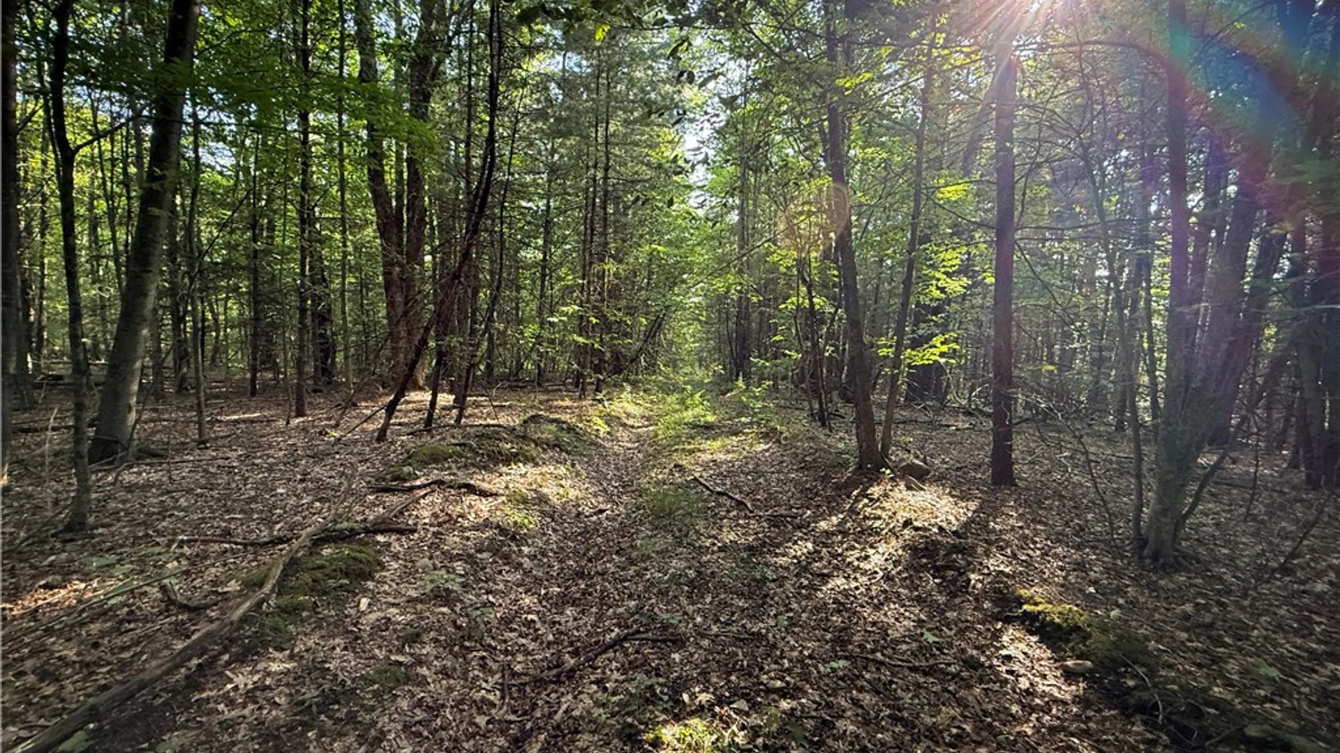 Property at Wright Road, Candor, NY 13743 14