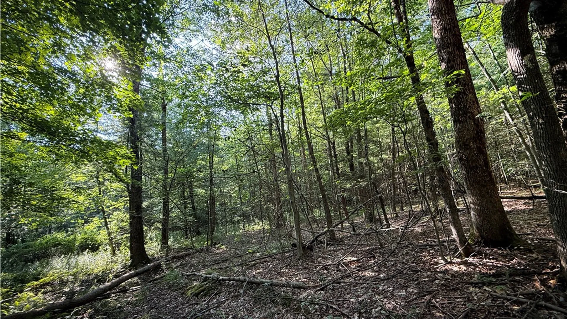 Property at Wright Road, Candor, NY 13743 17