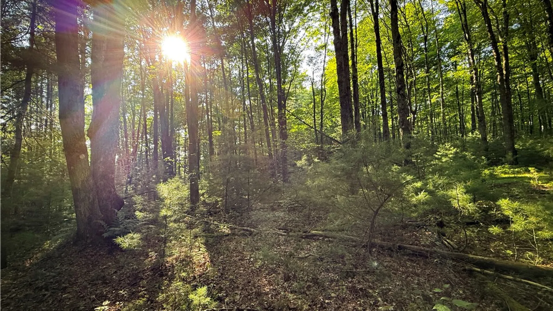 Property at Wright Road, Candor, NY 13743 20