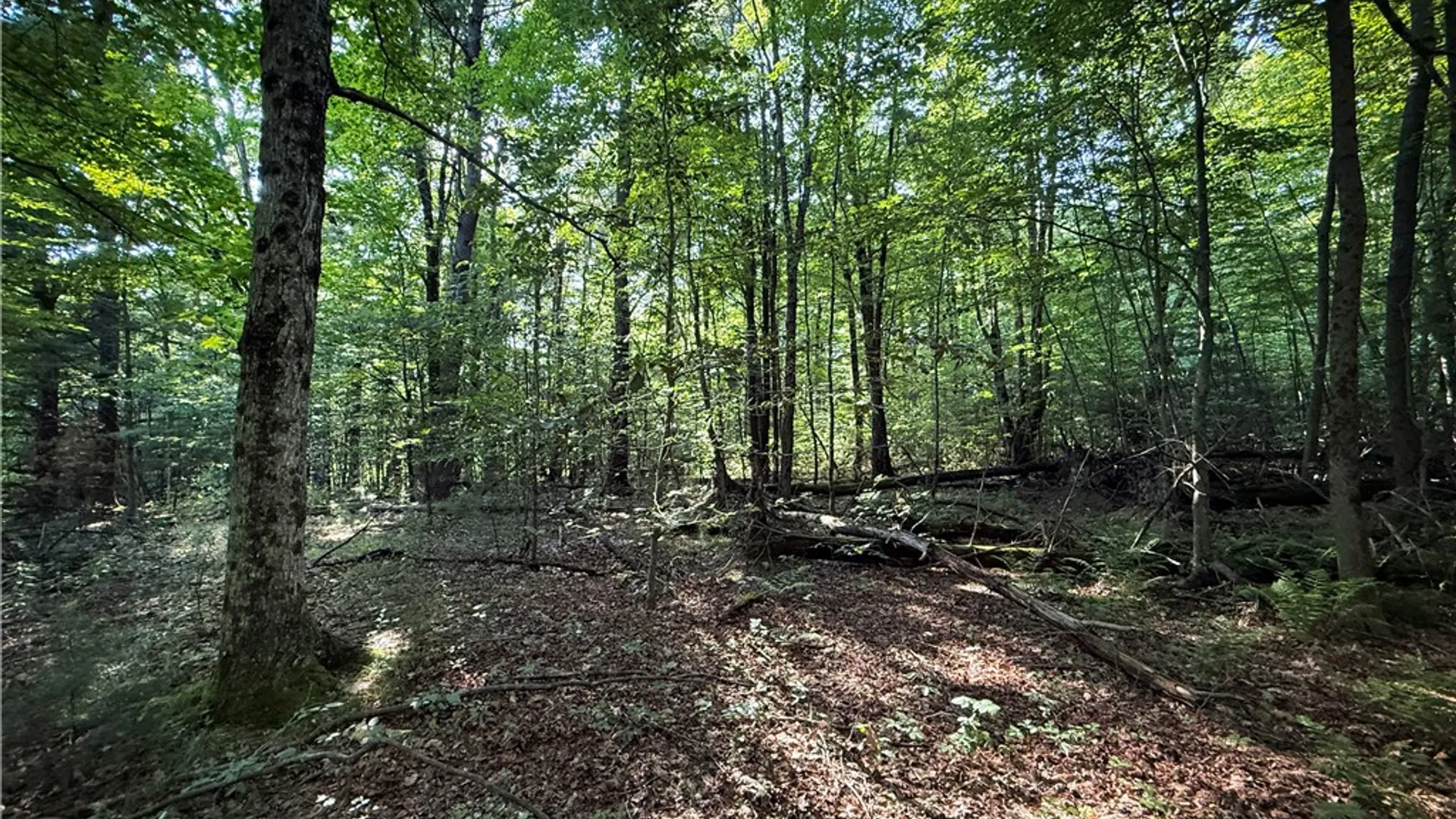 Property at Wright Road, Candor, NY 13743 22