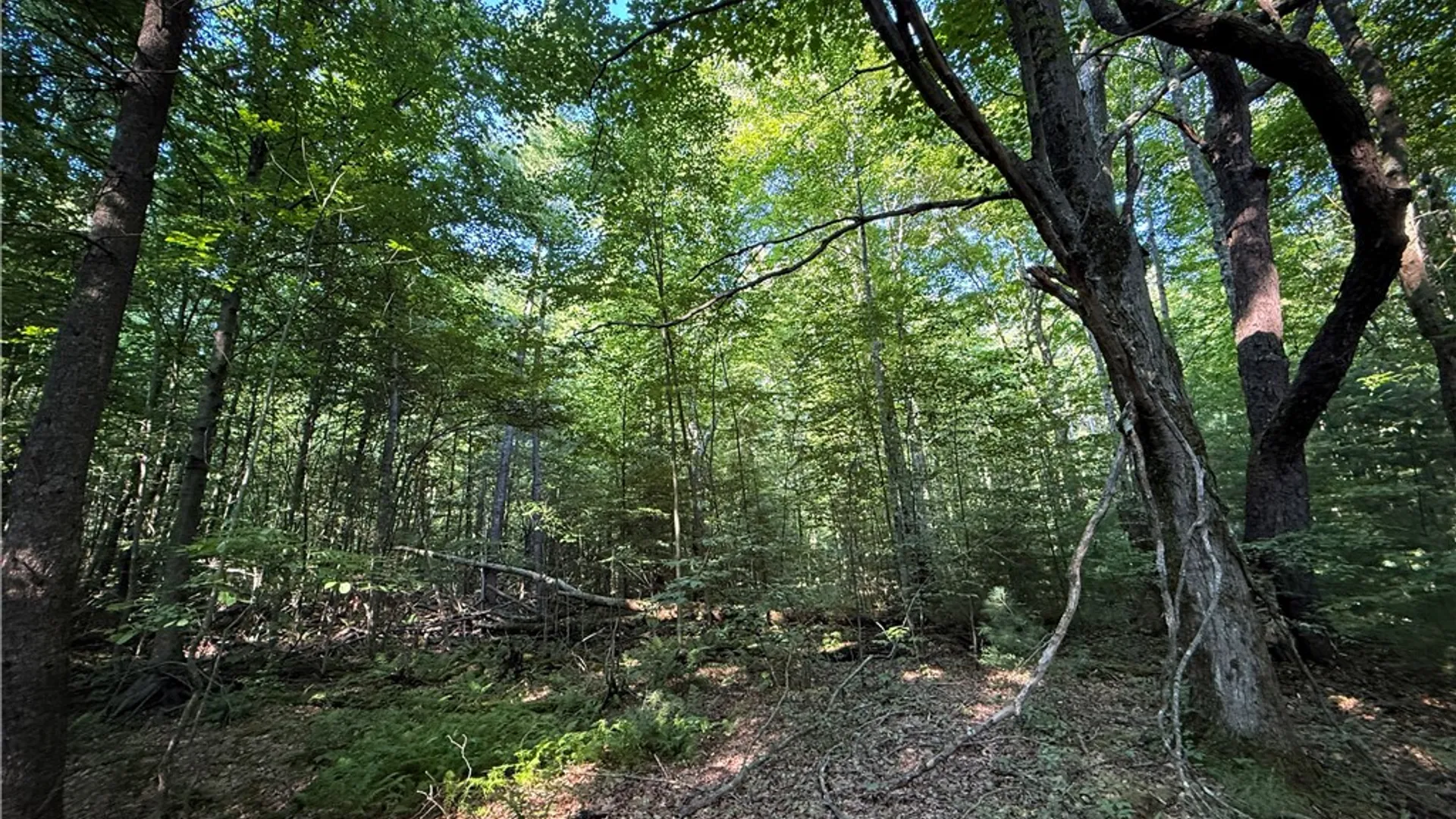 Property at Wright Road, Candor, NY 13743 23