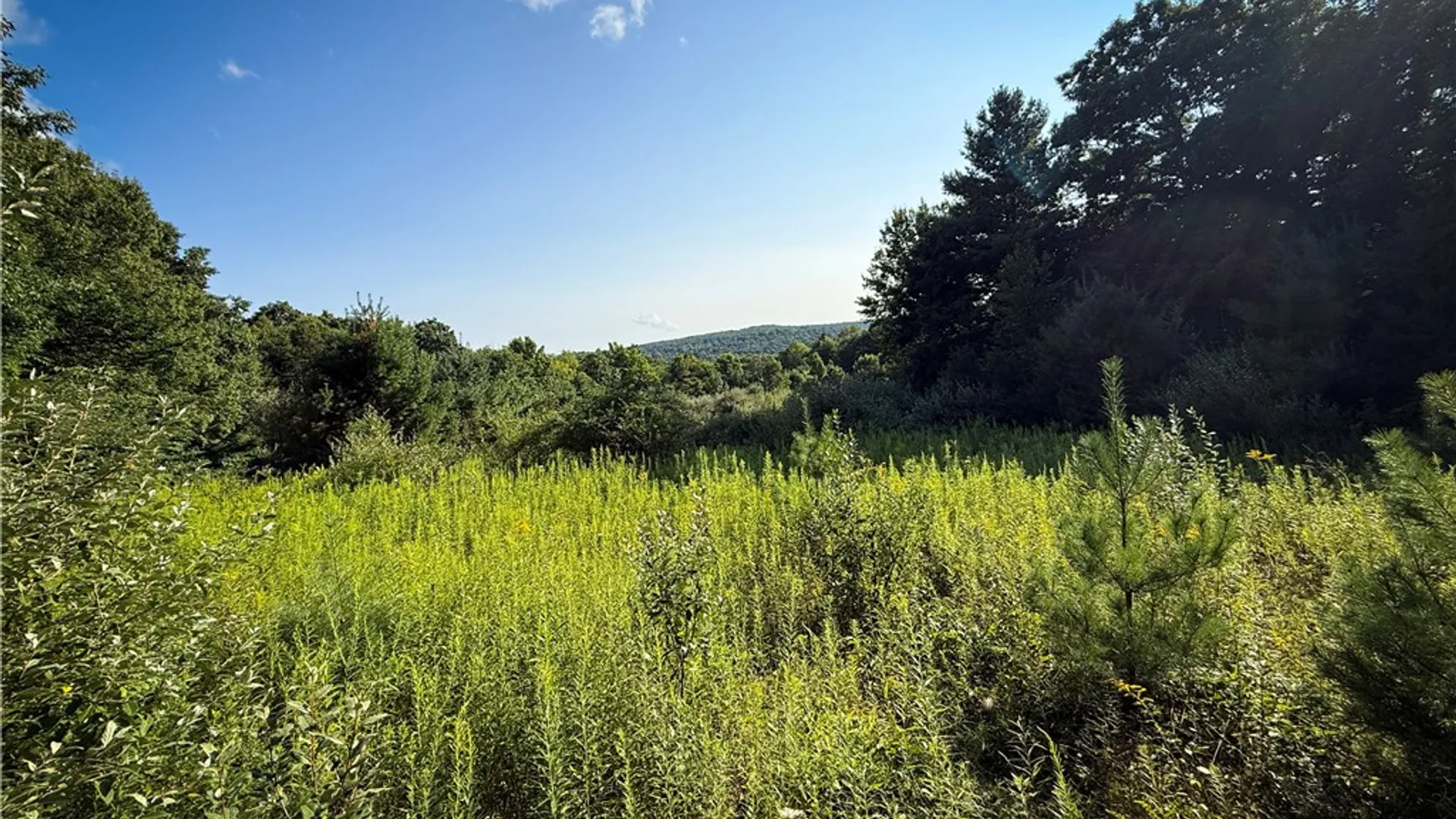 Property at Wright Road, Candor, NY 13743 24