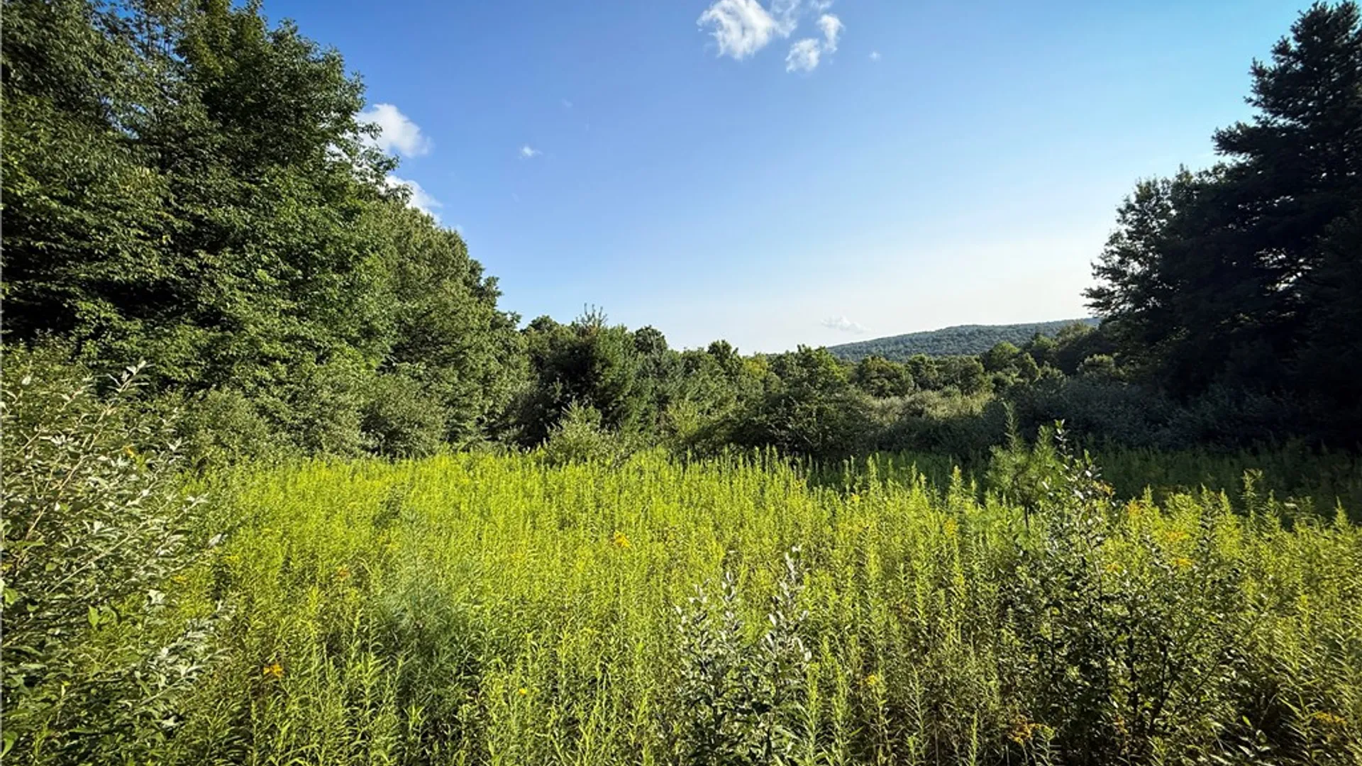 Property at Wright Road, Candor, NY 13743 25