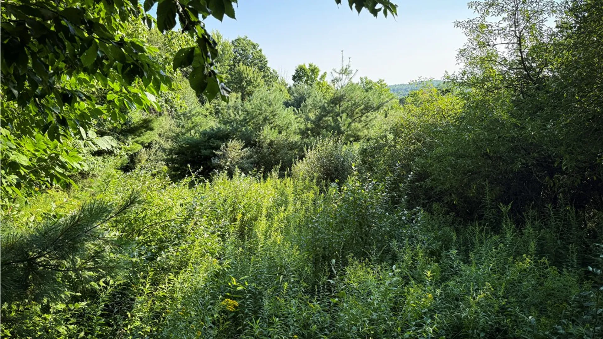 Property at Wright Road, Candor, NY 13743 26