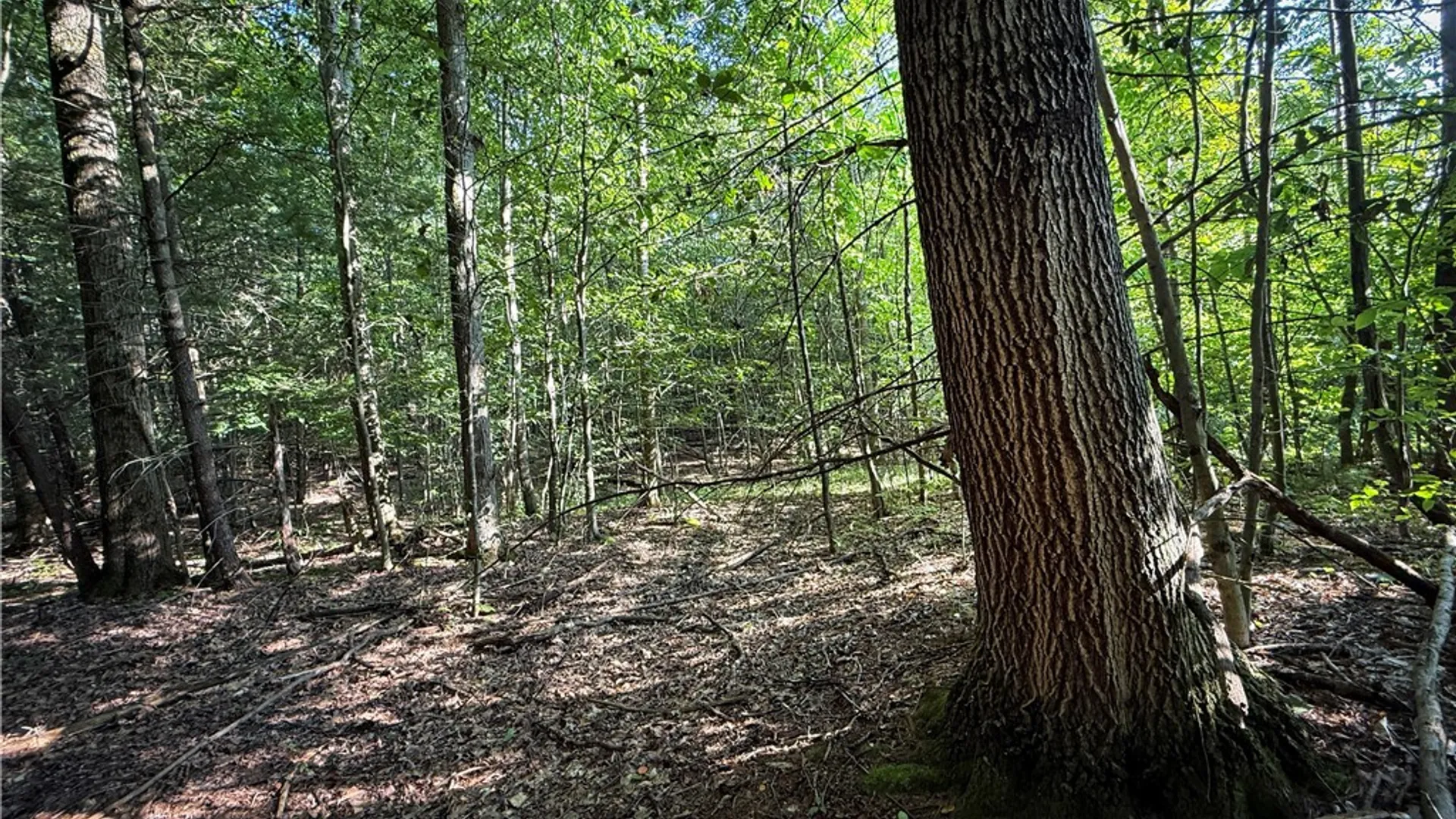 Property at Wright Road, Candor, NY 13743 27