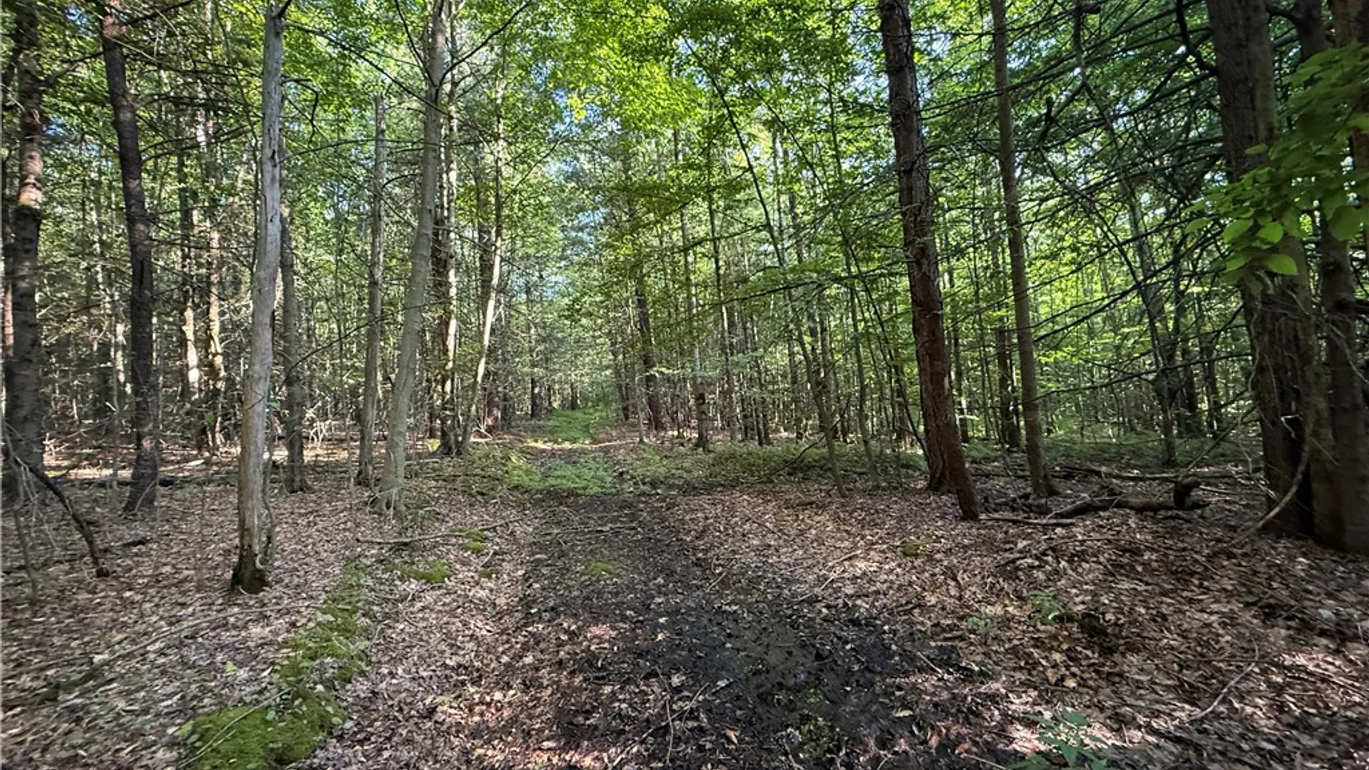 Property at Wright Road, Candor, NY 13743 28